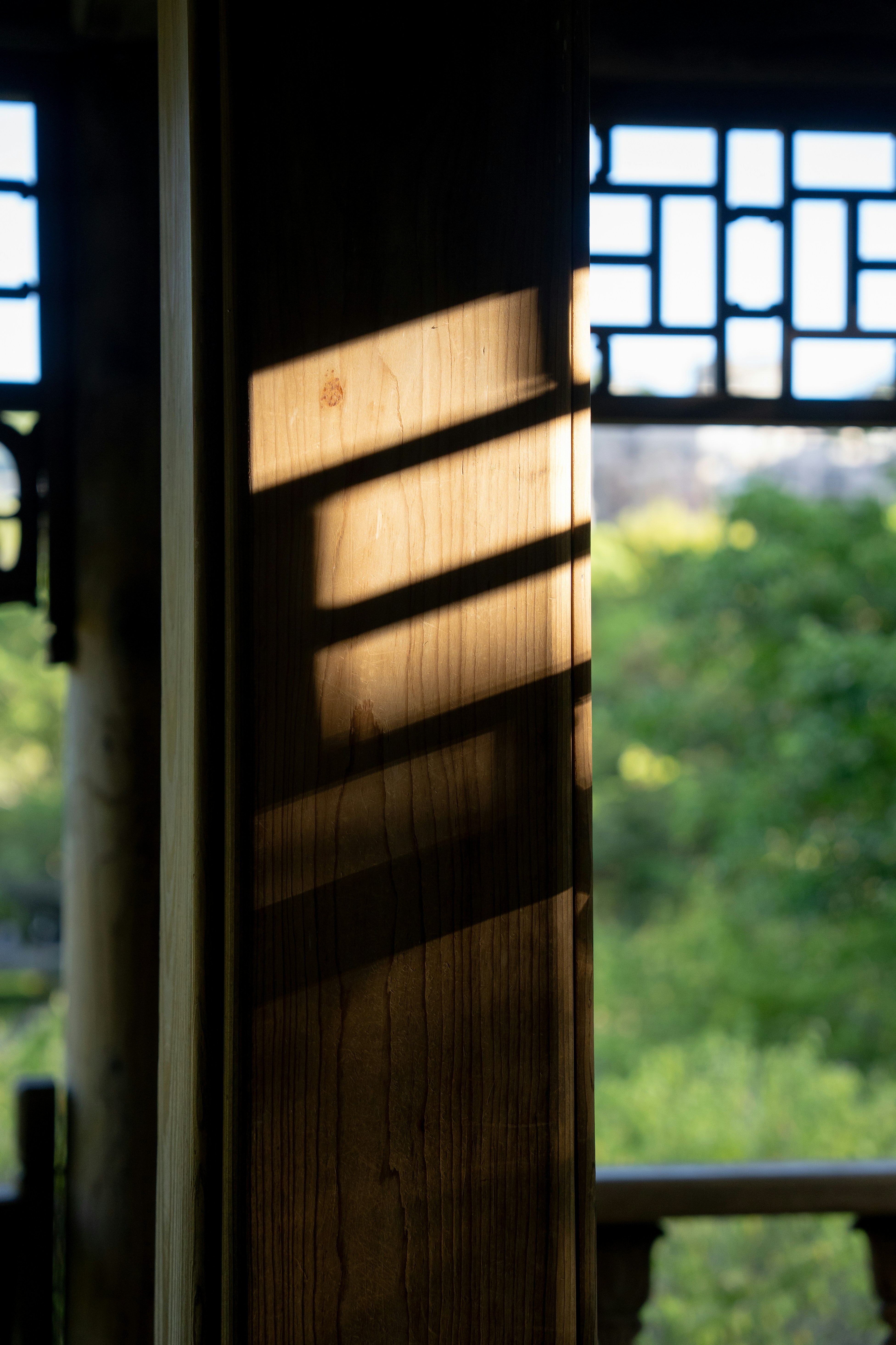 Photo by monster0313