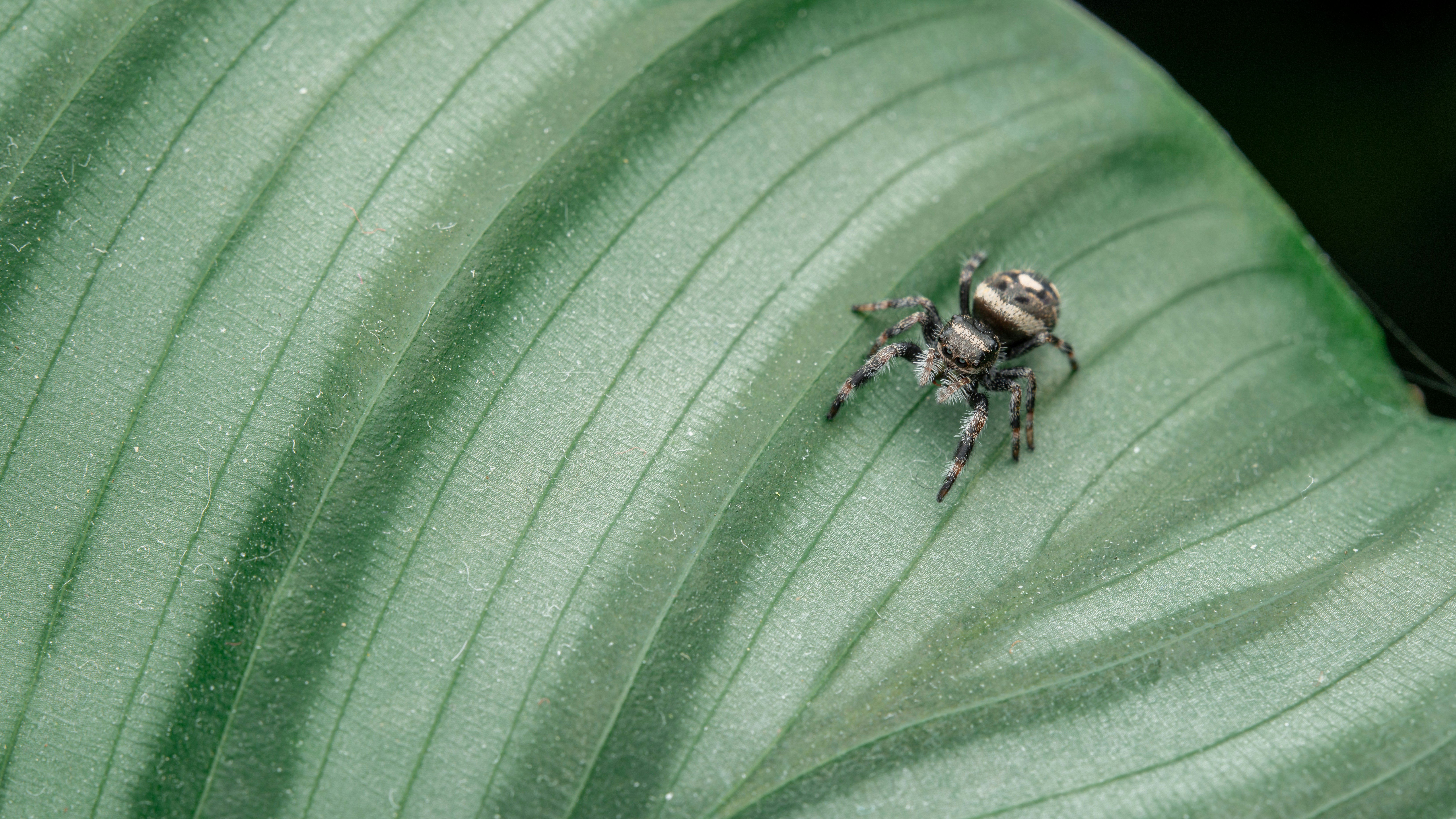 Photo by peek_a_boo_who