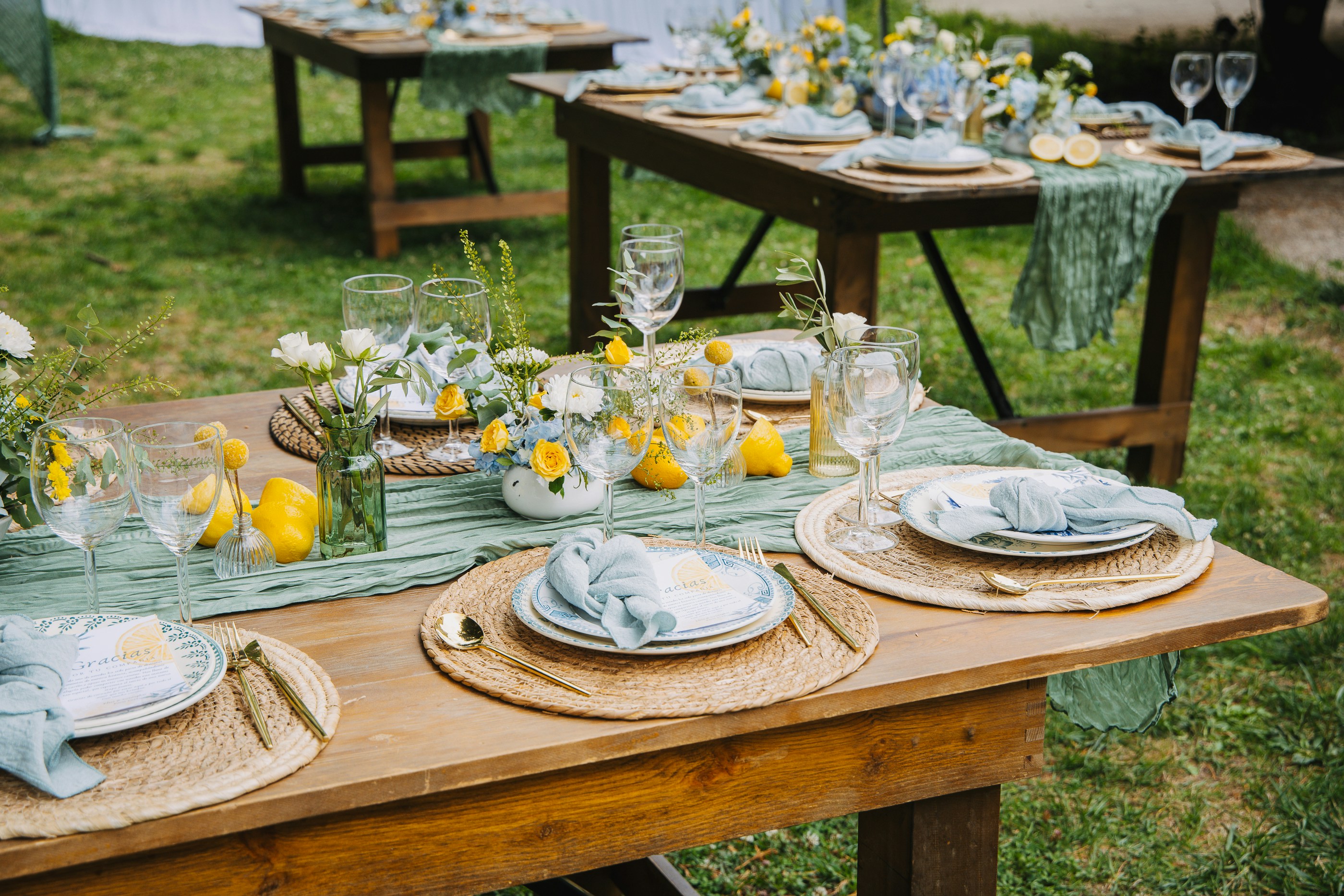 Outdoor table setting with lemons and blue napkins. photo – Free Flowers  Image on Unsplash, image size:3000x2000