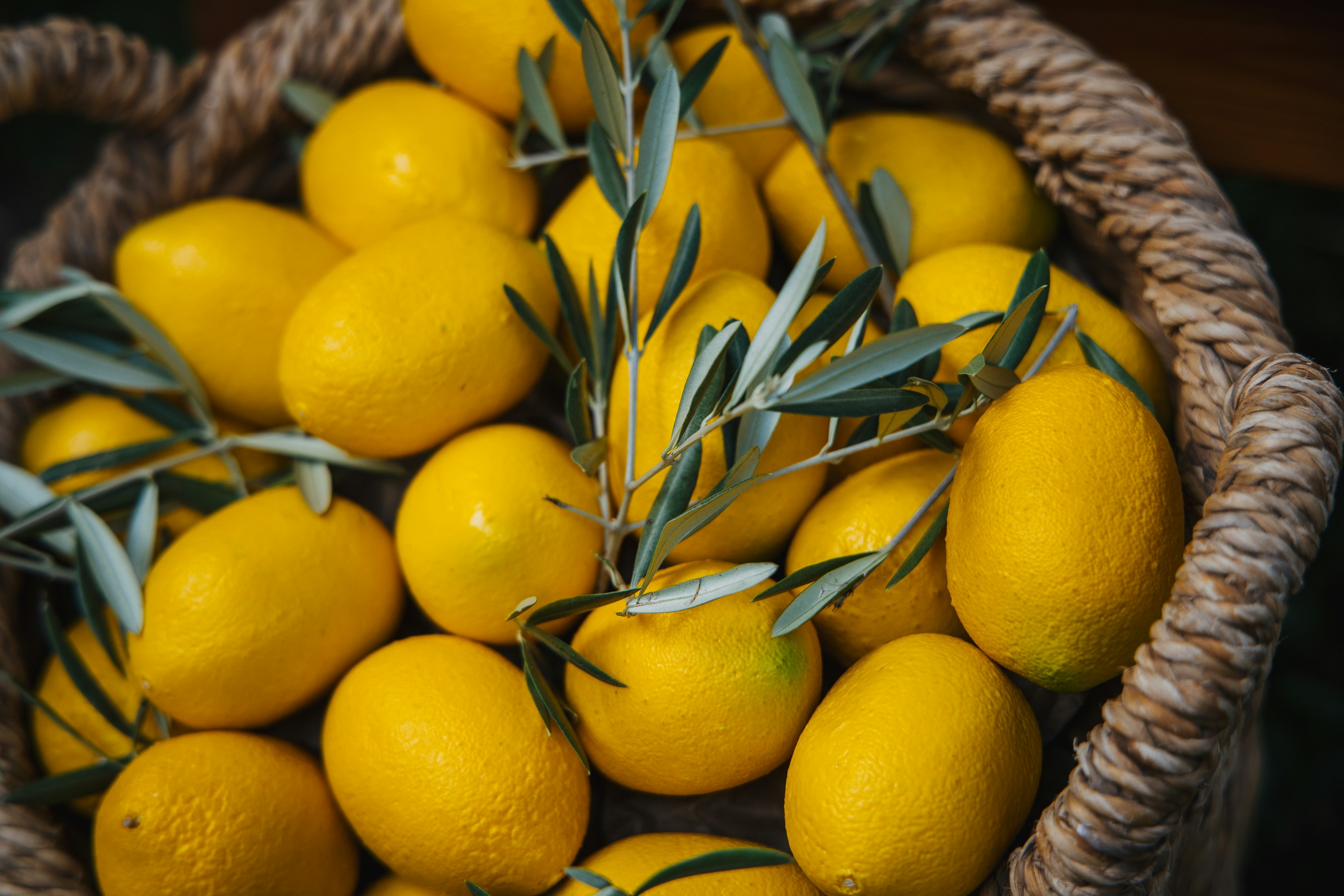 Baskets filled with freshly harvested vegetables