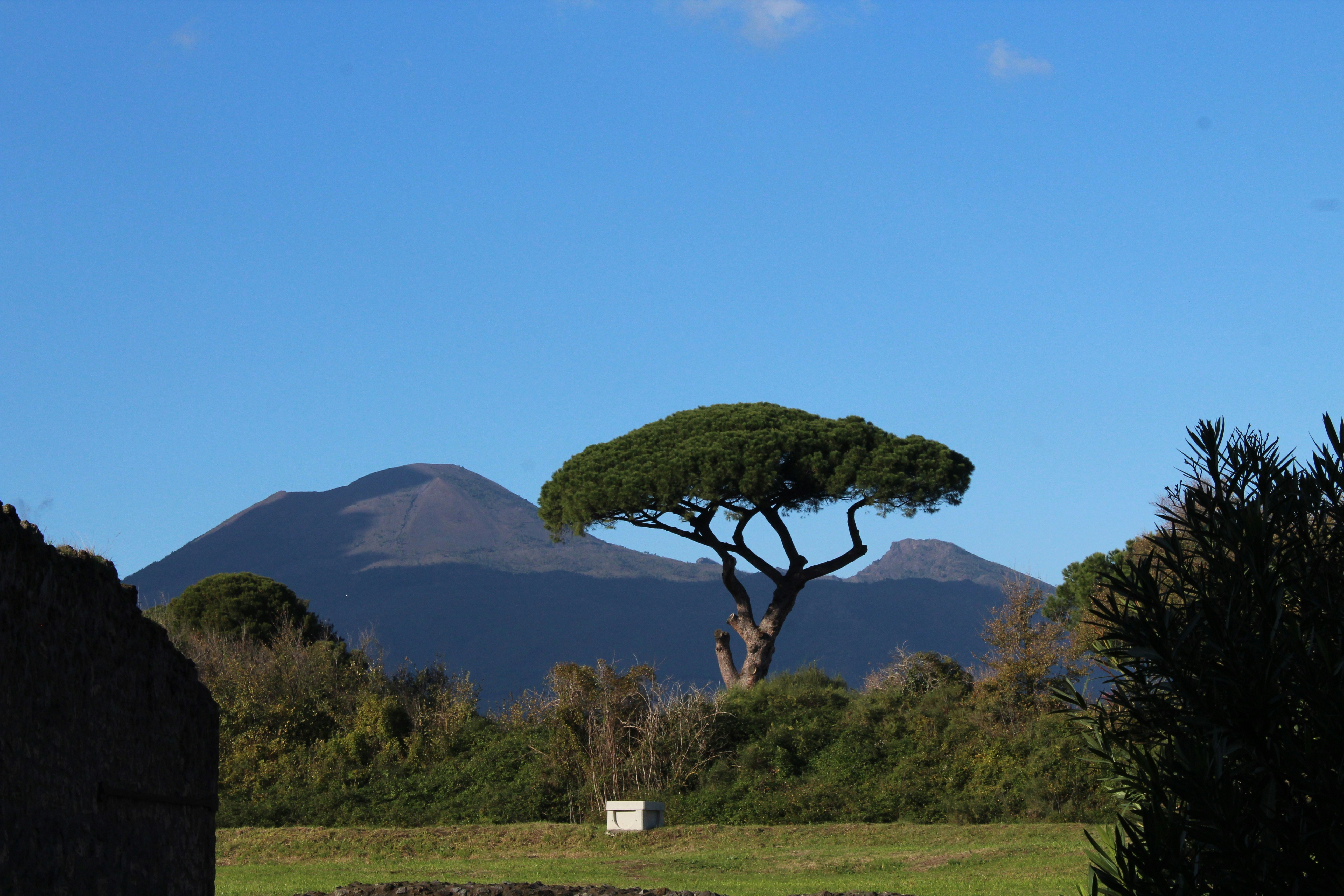 Photo by mahorazon94