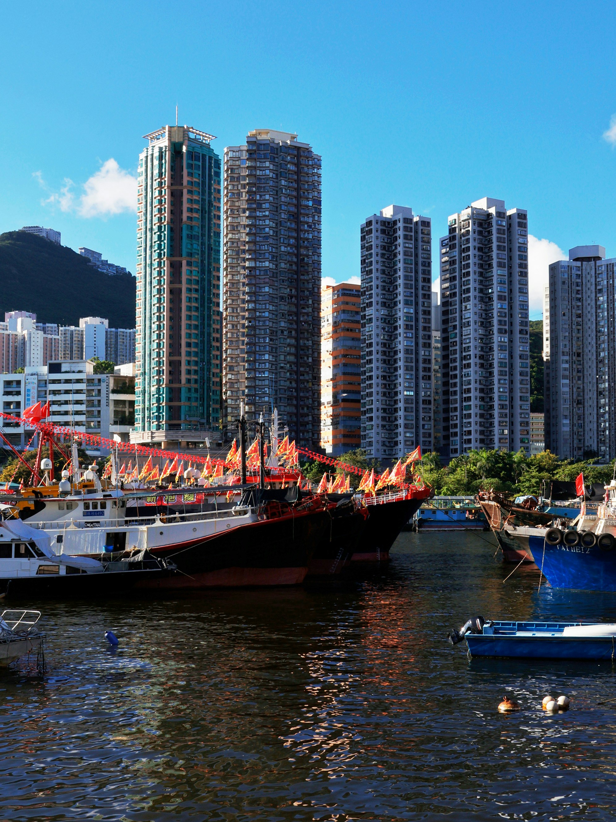 Boats docked in a harbor with city skyline background.