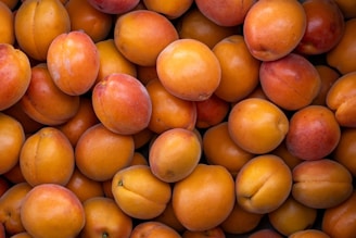 A pile of ripe, orange apricots