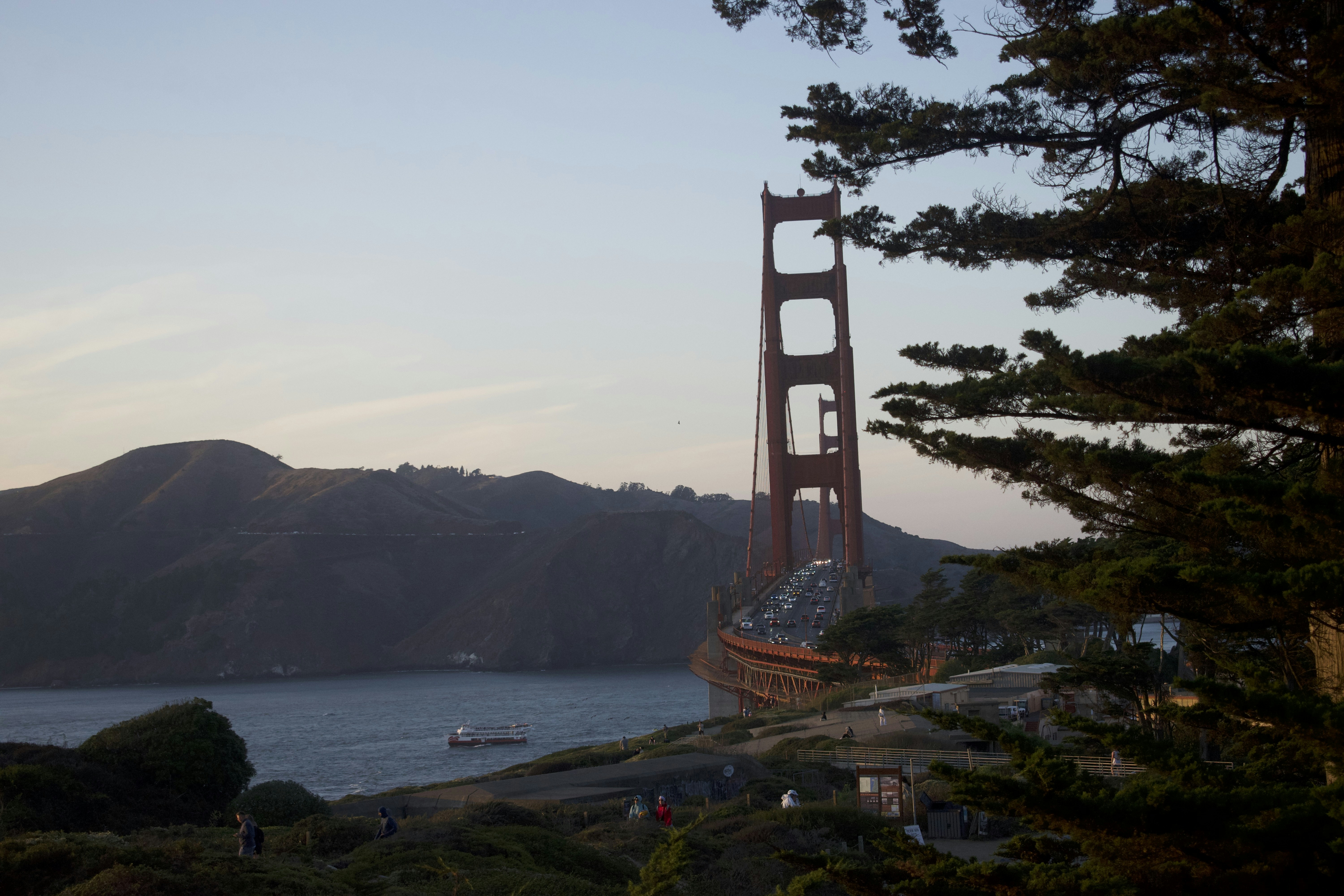 Golden gate bridge seen through trees at dusk