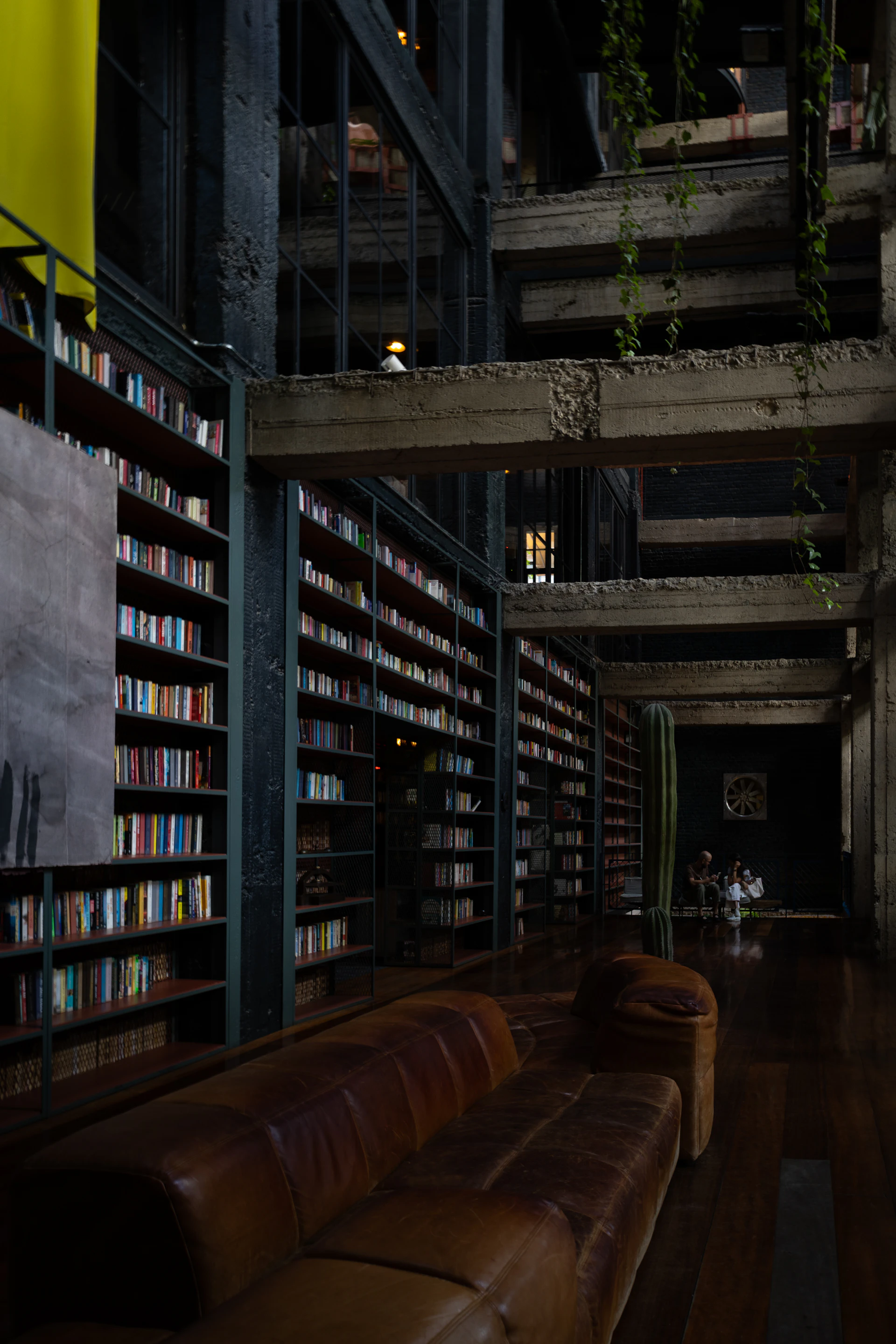Library