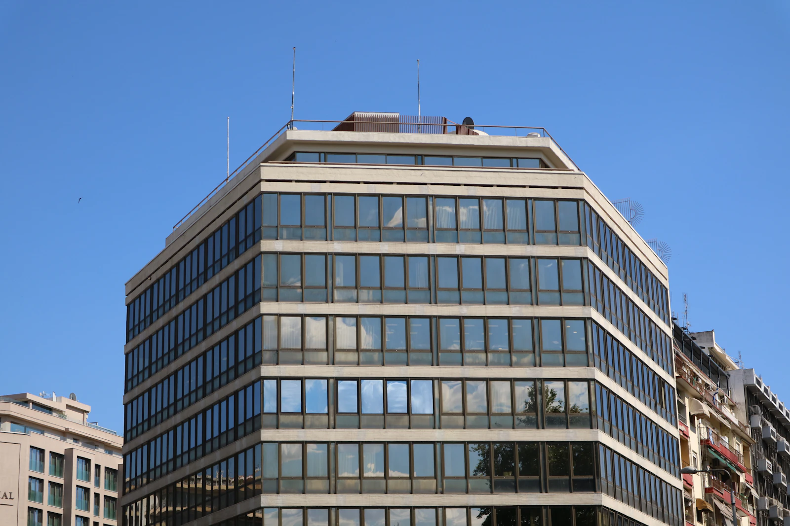 Staffing & Capability Building
