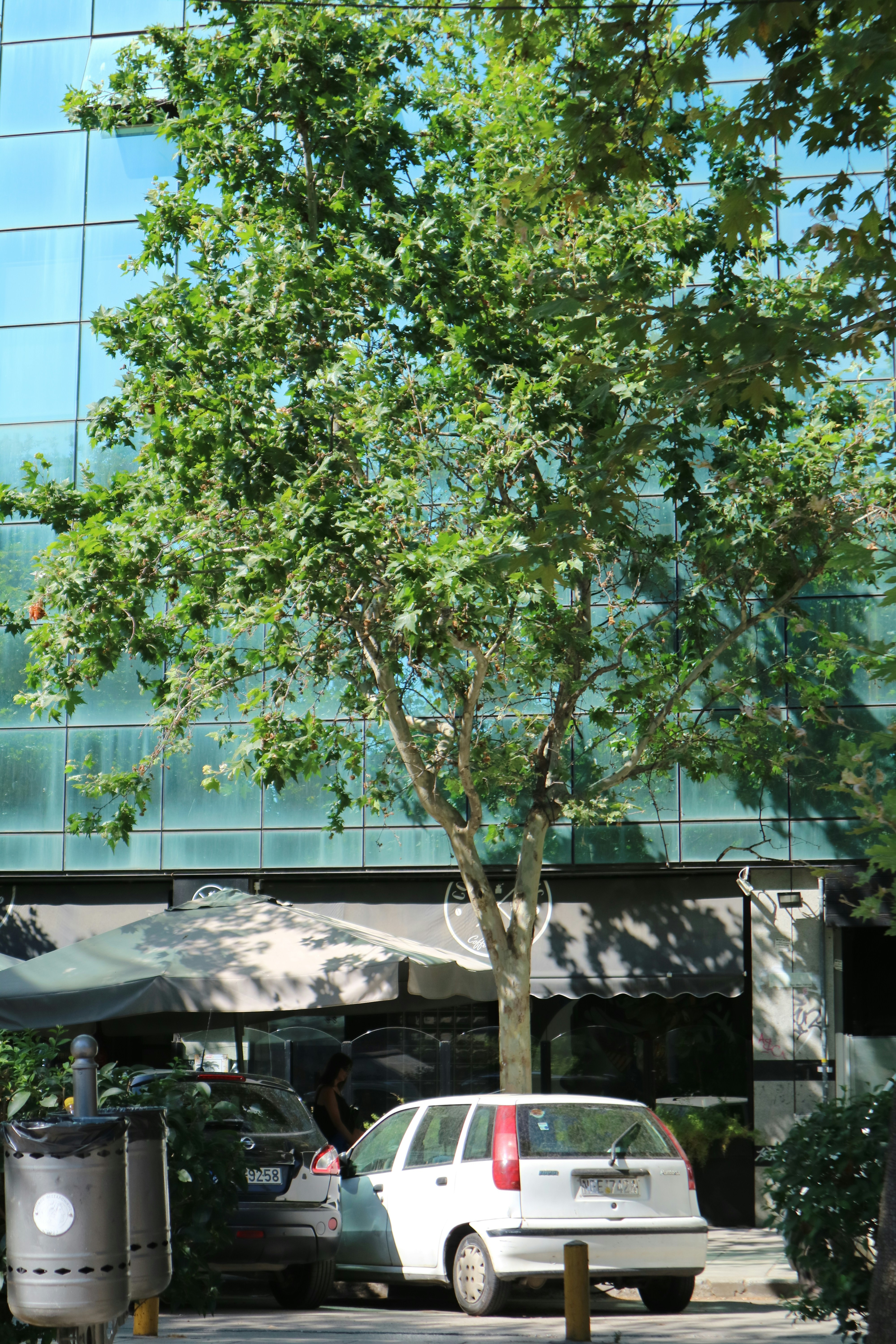 Photo by partofworld