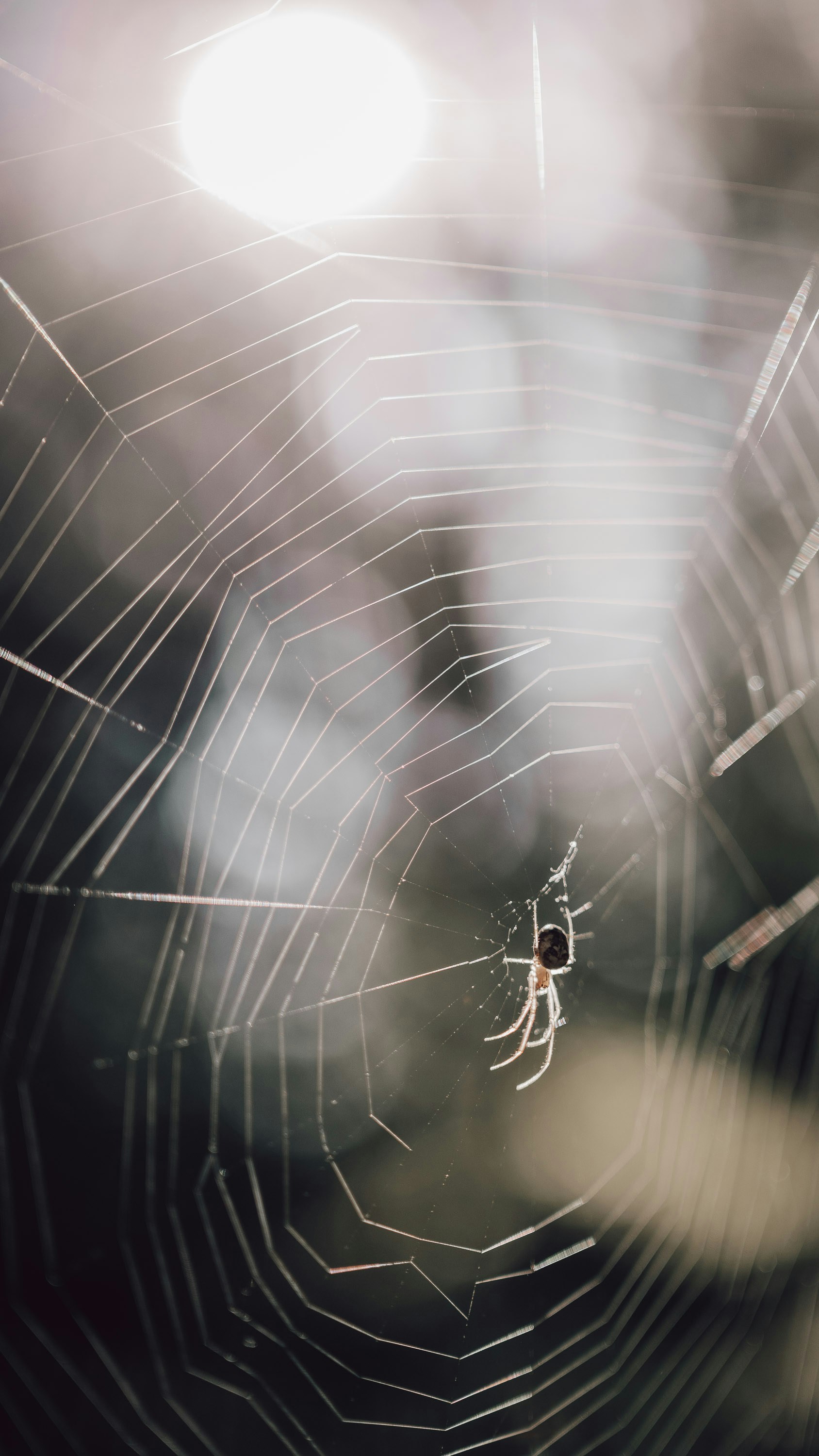 Photo by pixelatelier