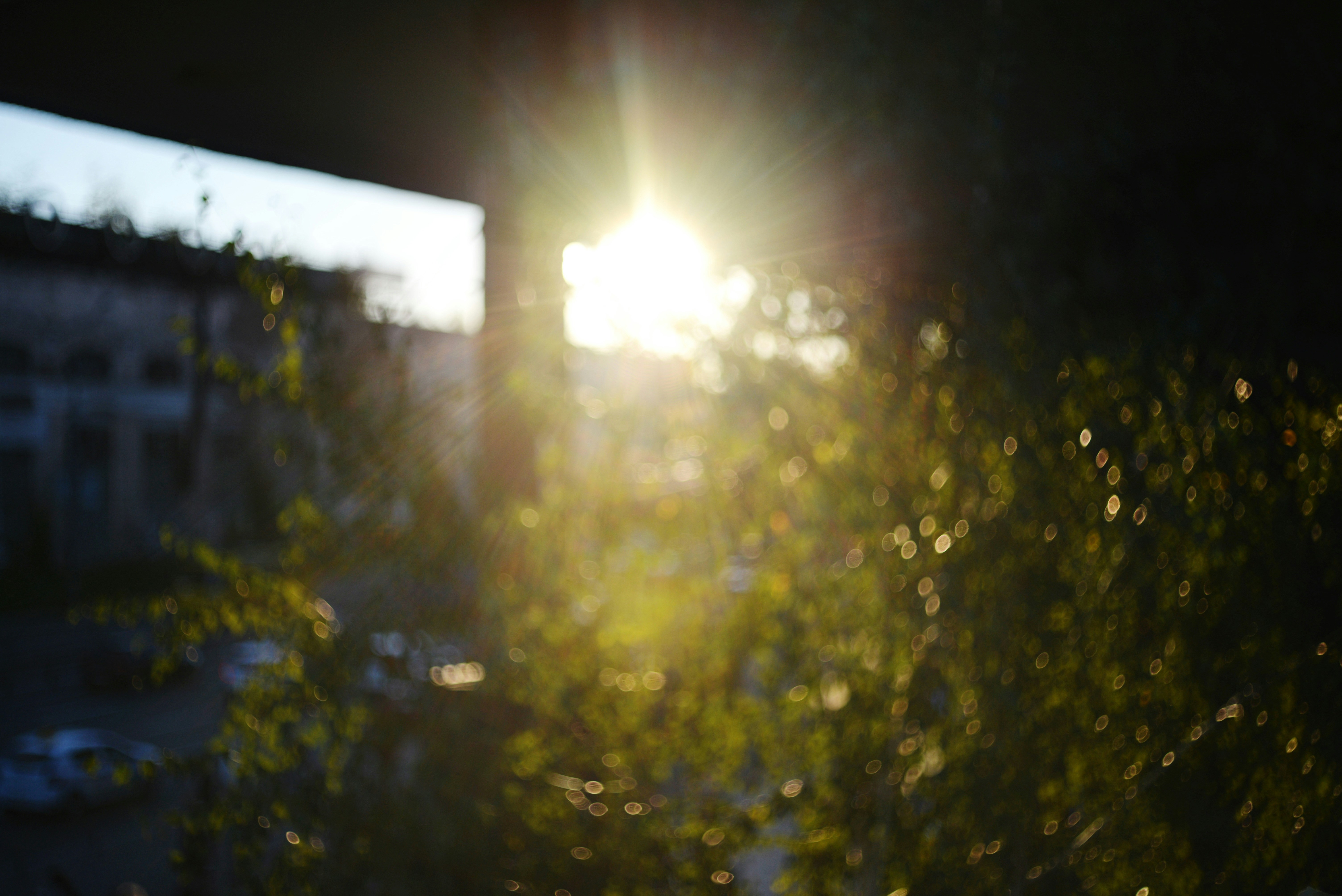 Photo by cherstve_pechivo