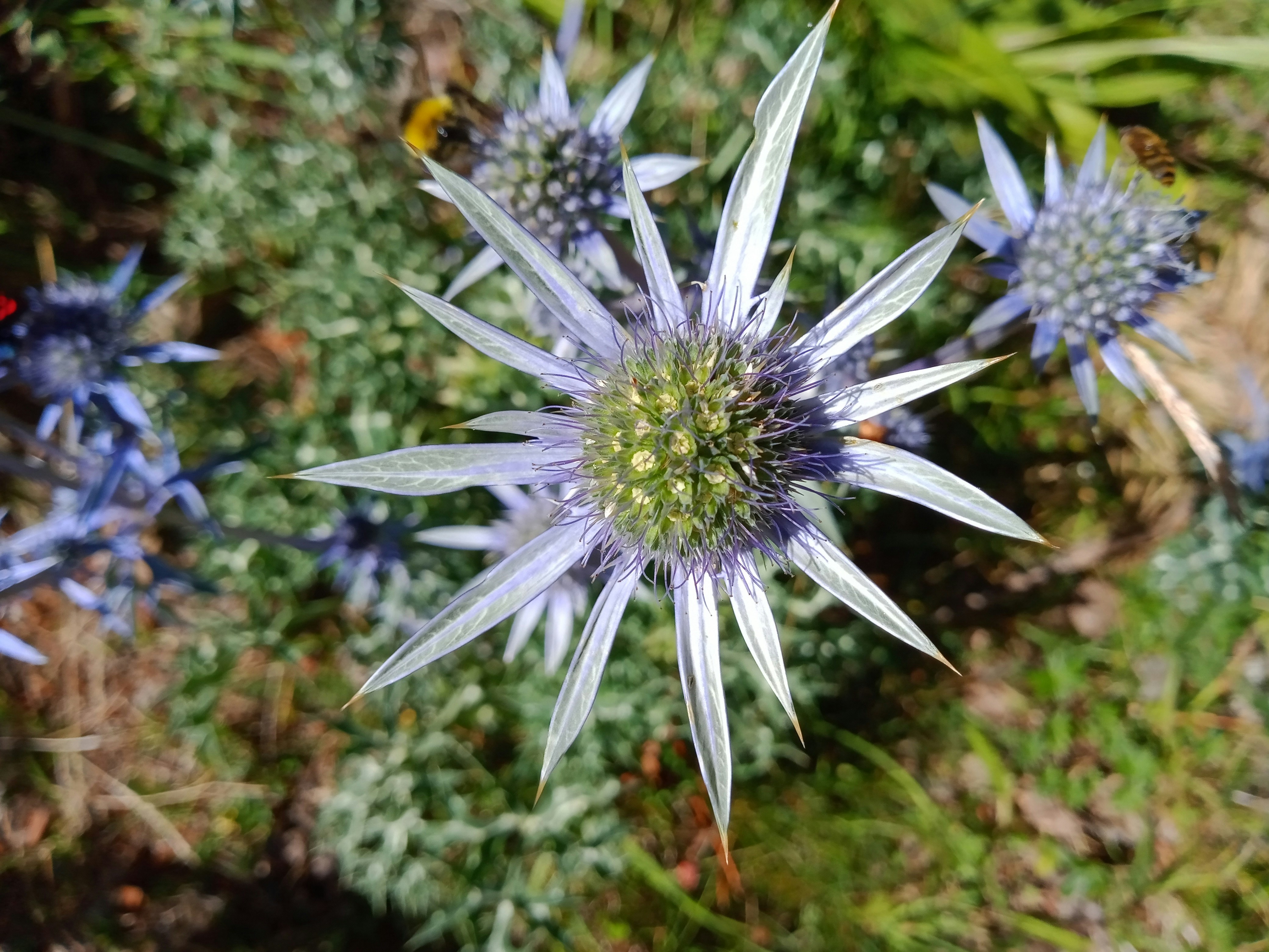 Photo by josep_muntane