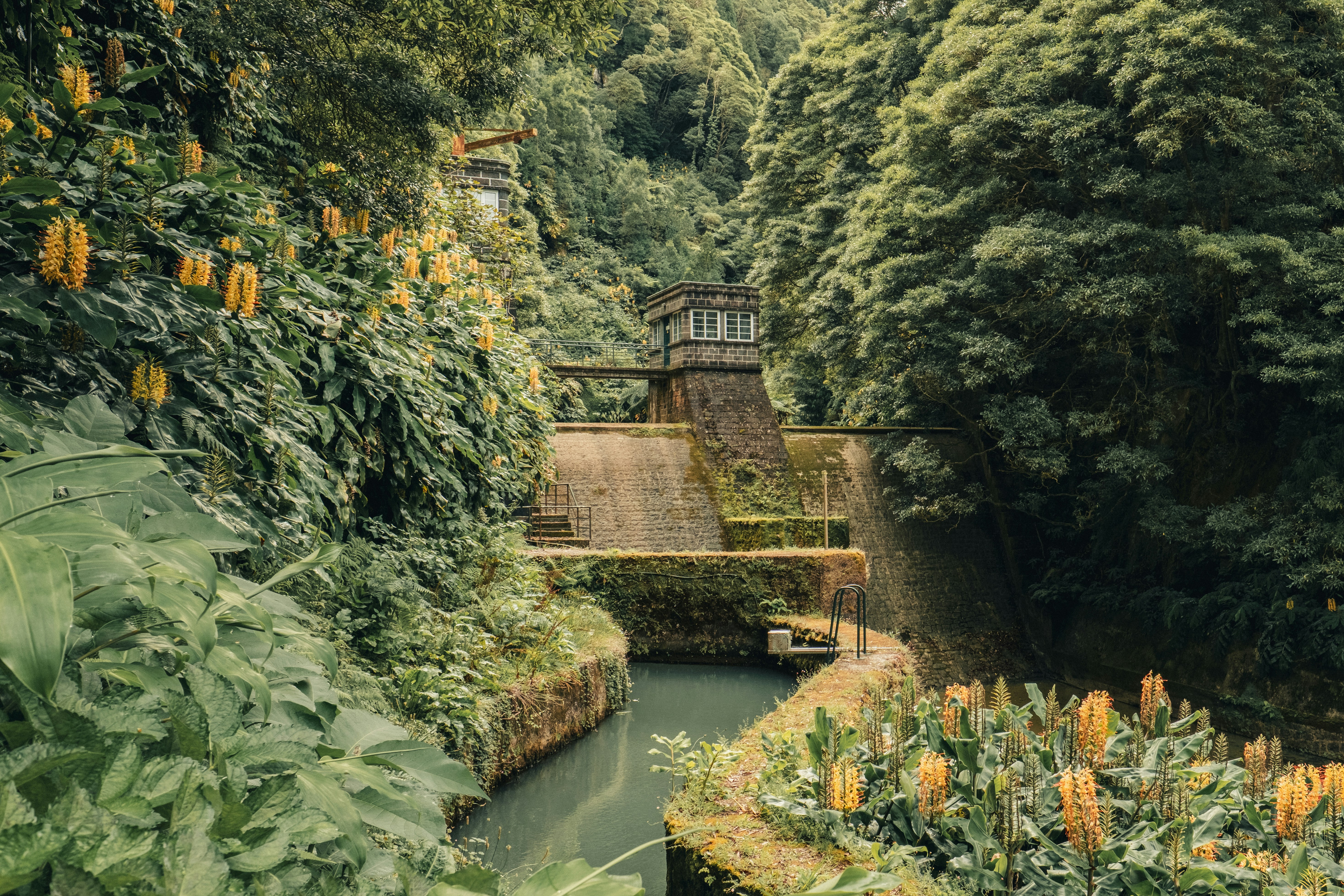 Photo by timonreinhard