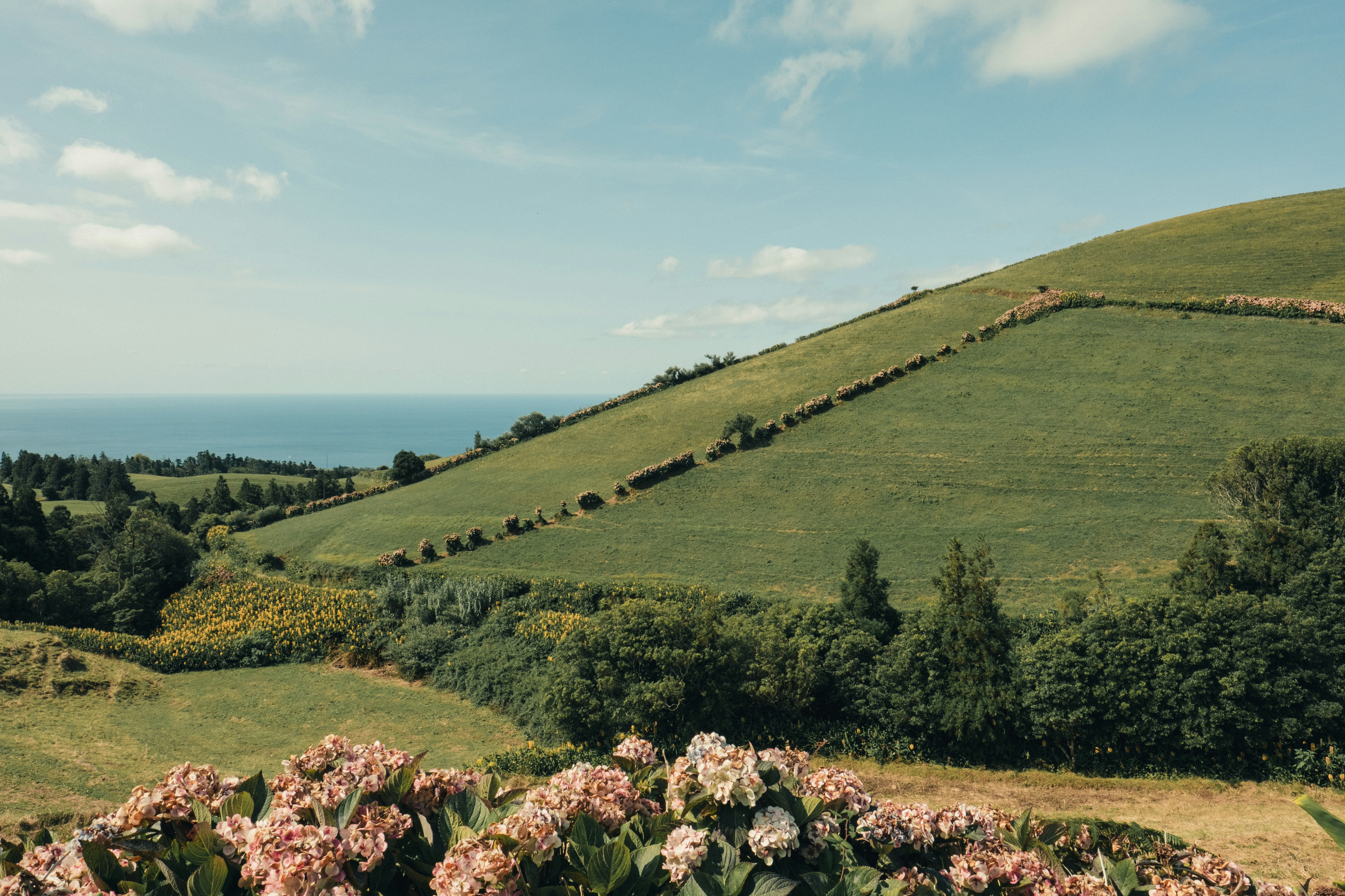 Photo by timonreinhard