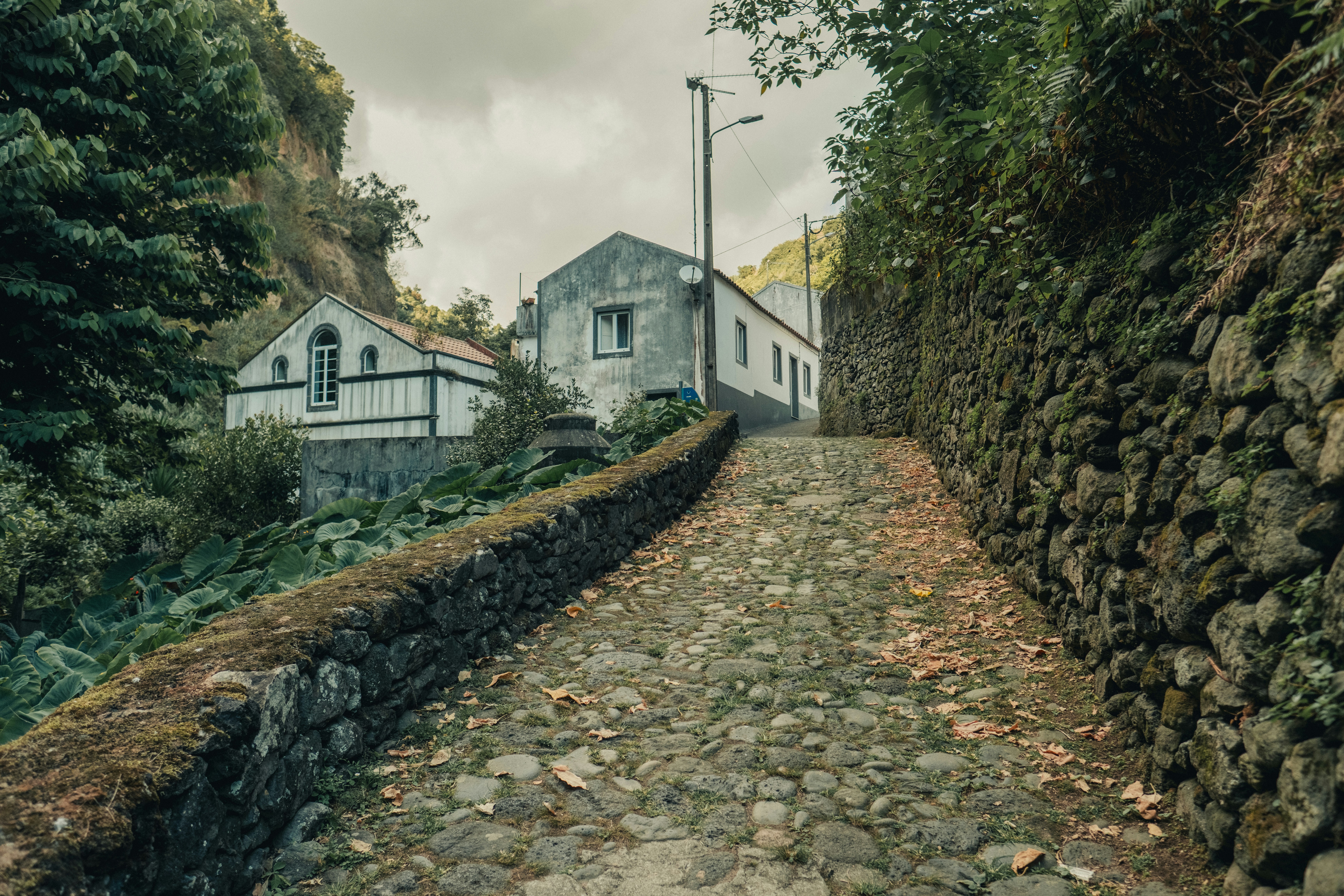 Der Kopfsteinpflasterweg führt zu alten Häusern, die von viel Grün umgeben sind.