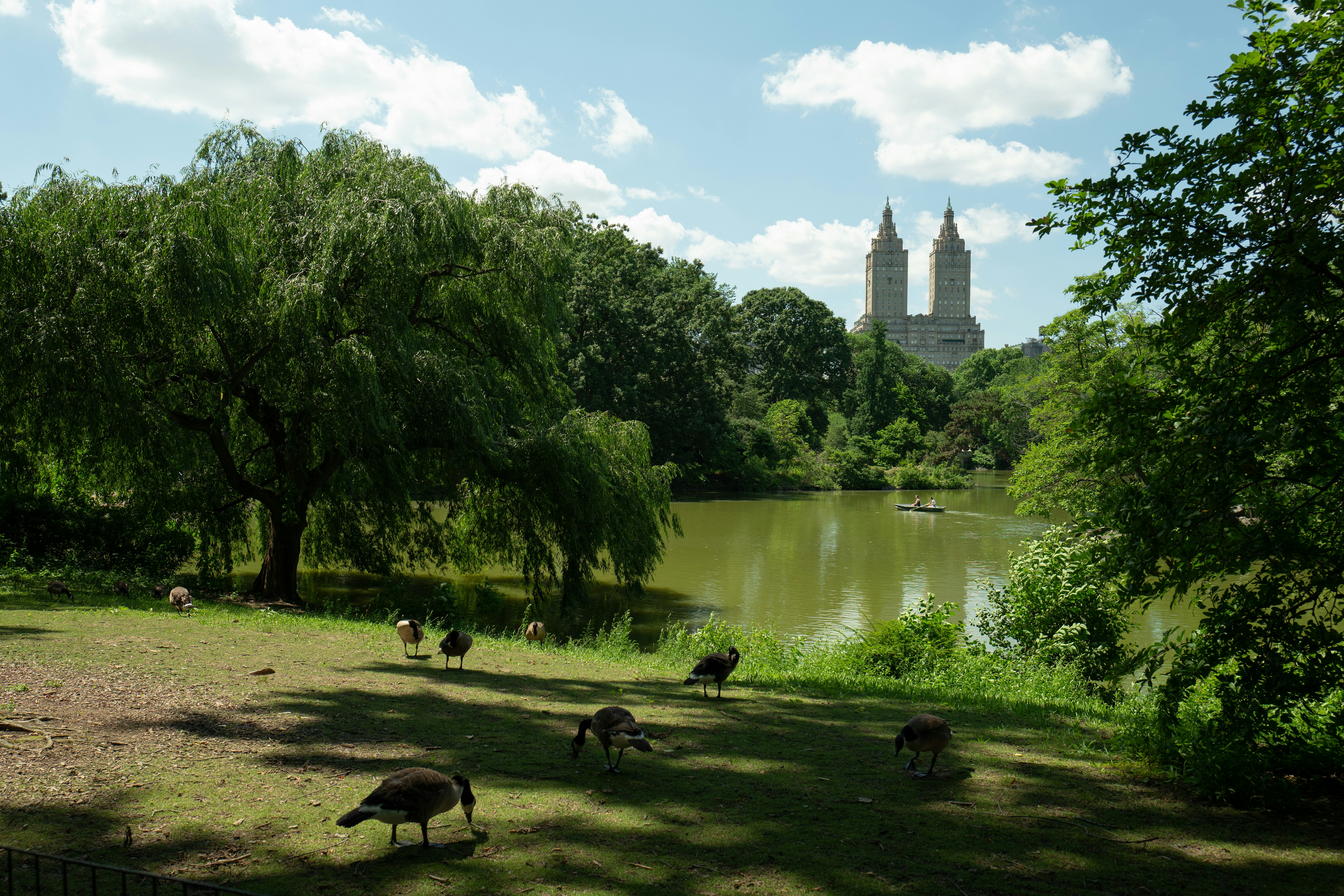 Central Park, New York.