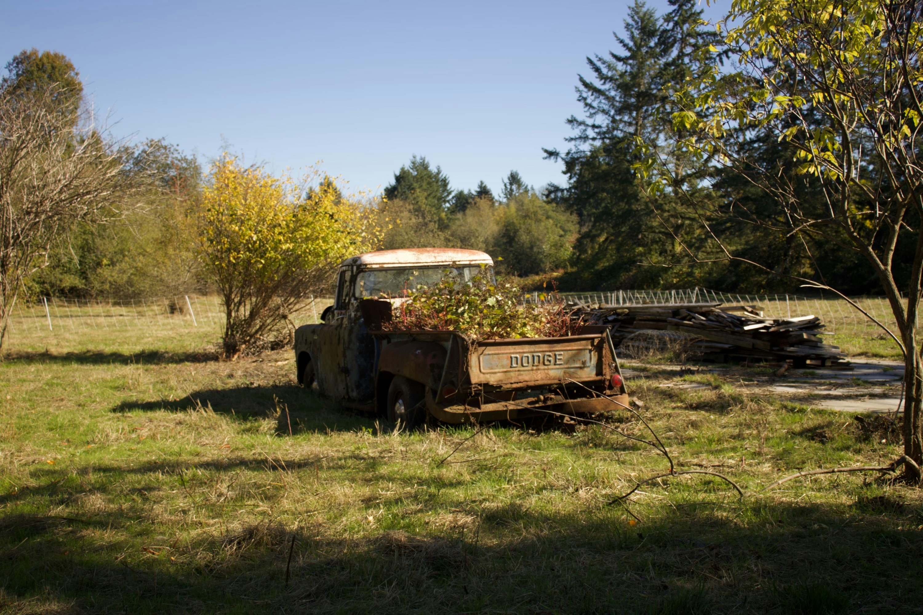 Photo by am_photography13