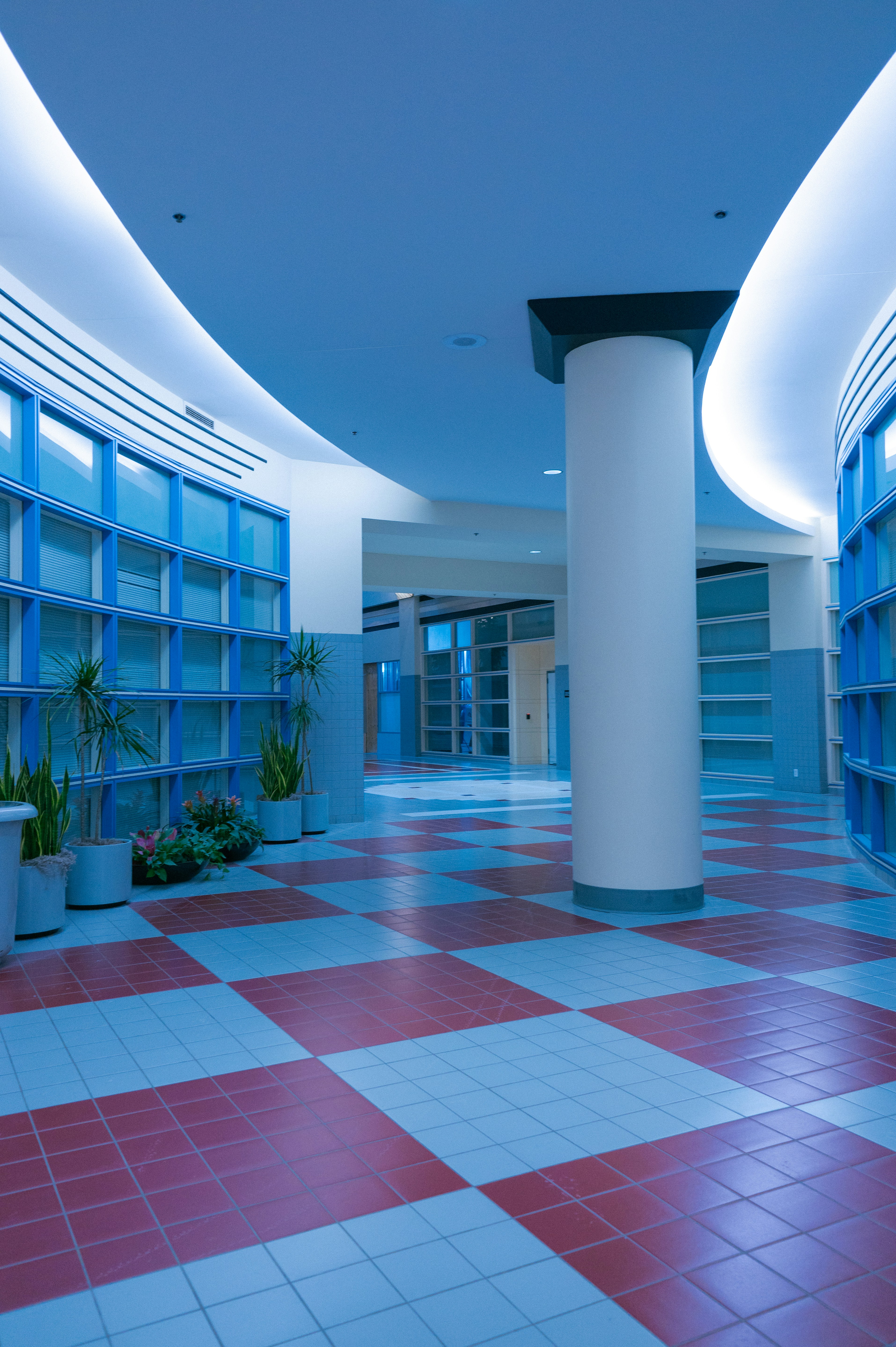 Modern hallway with checkered floor and plants.