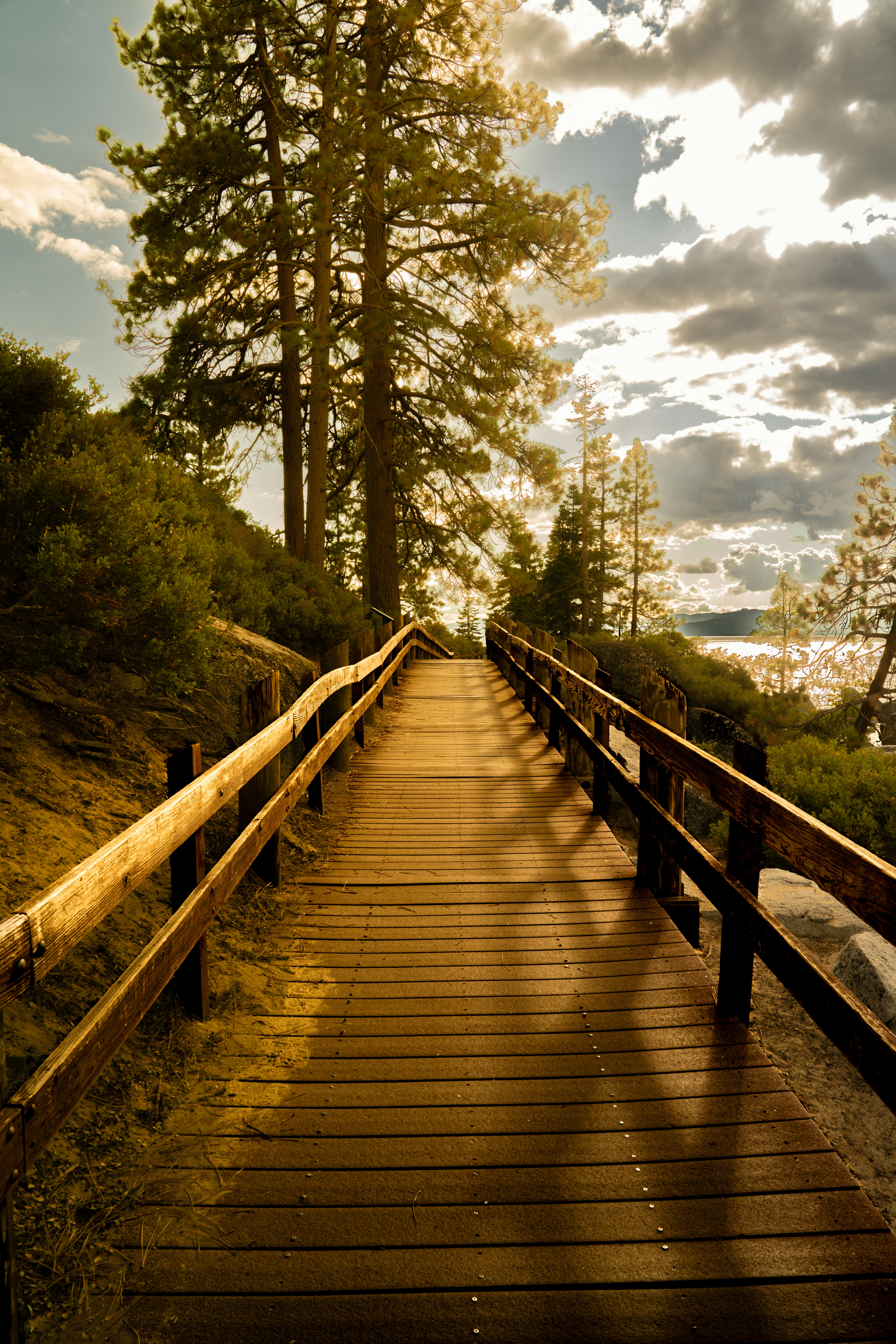 Photo by happy_pixel