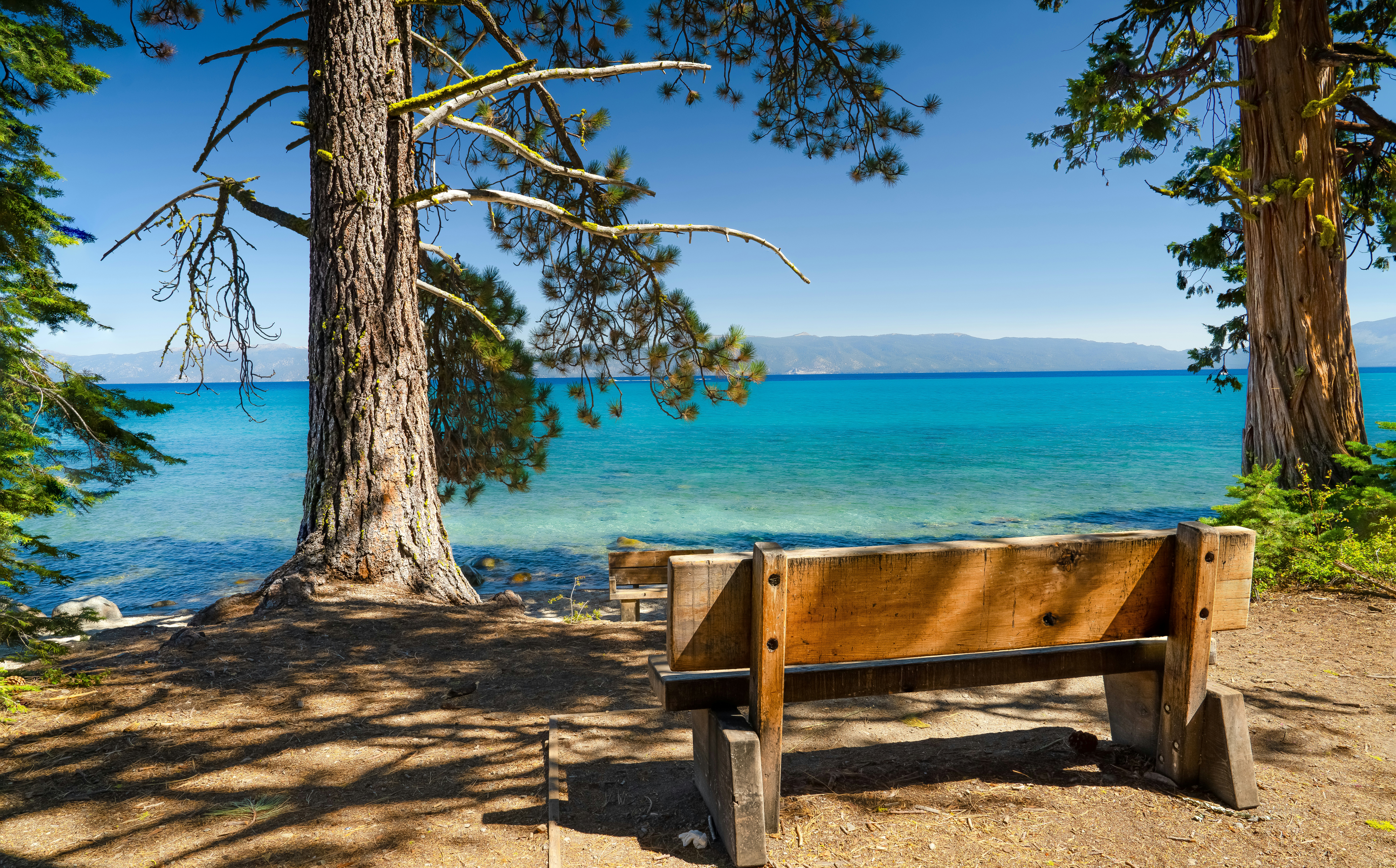 Photo by happy_pixel