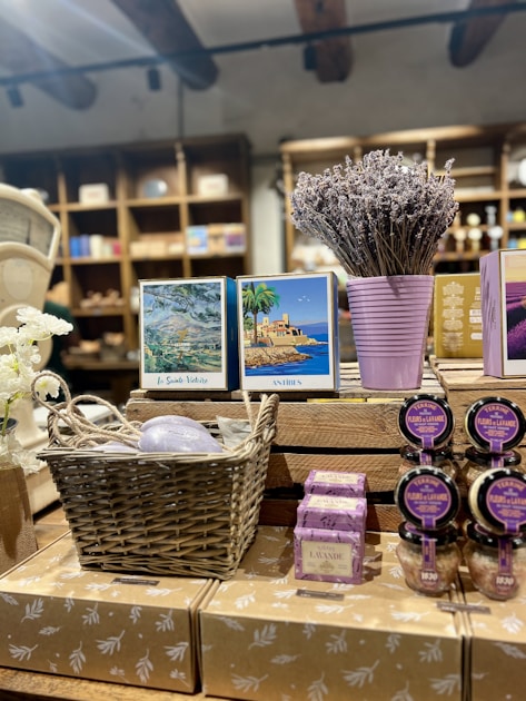 Aix-en-Provence en hiver : 10 raisons de visiter en basse saison (2026)