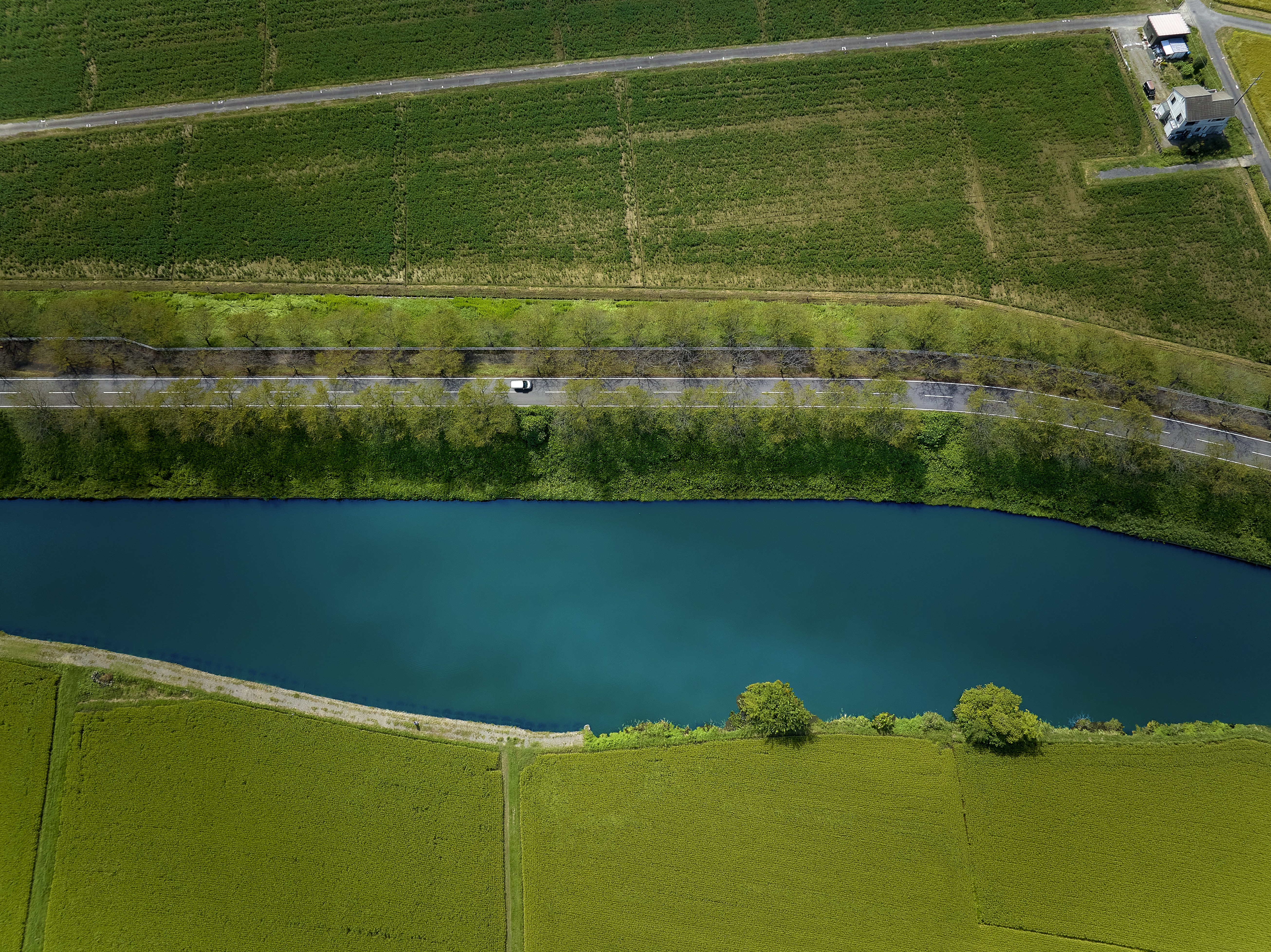 car top-down view, aerial perspective, ilustrasi artikel Stunning Top Down Aerial View Car Wallpapers for Mobile 2