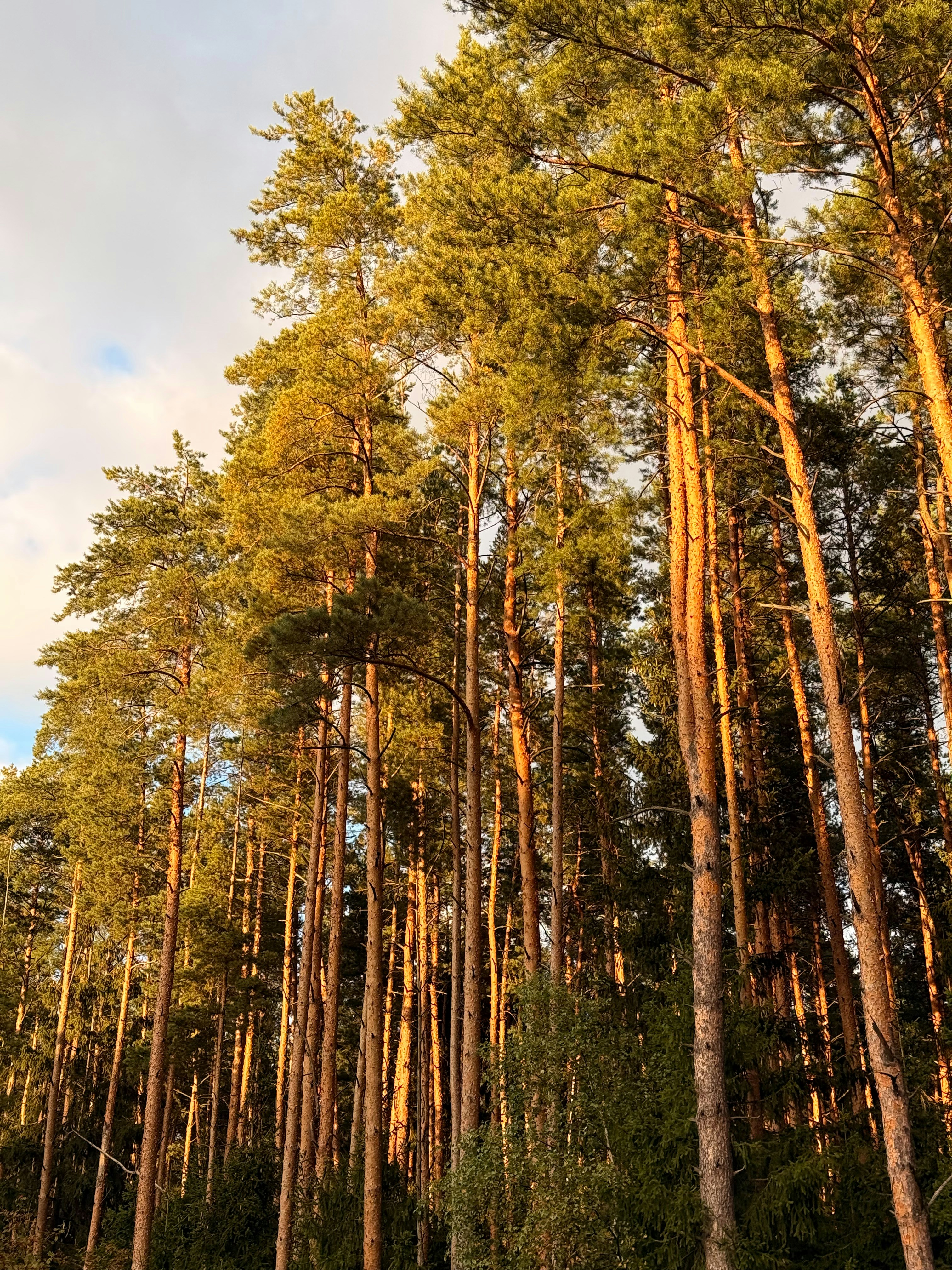 Photo by artemisss666