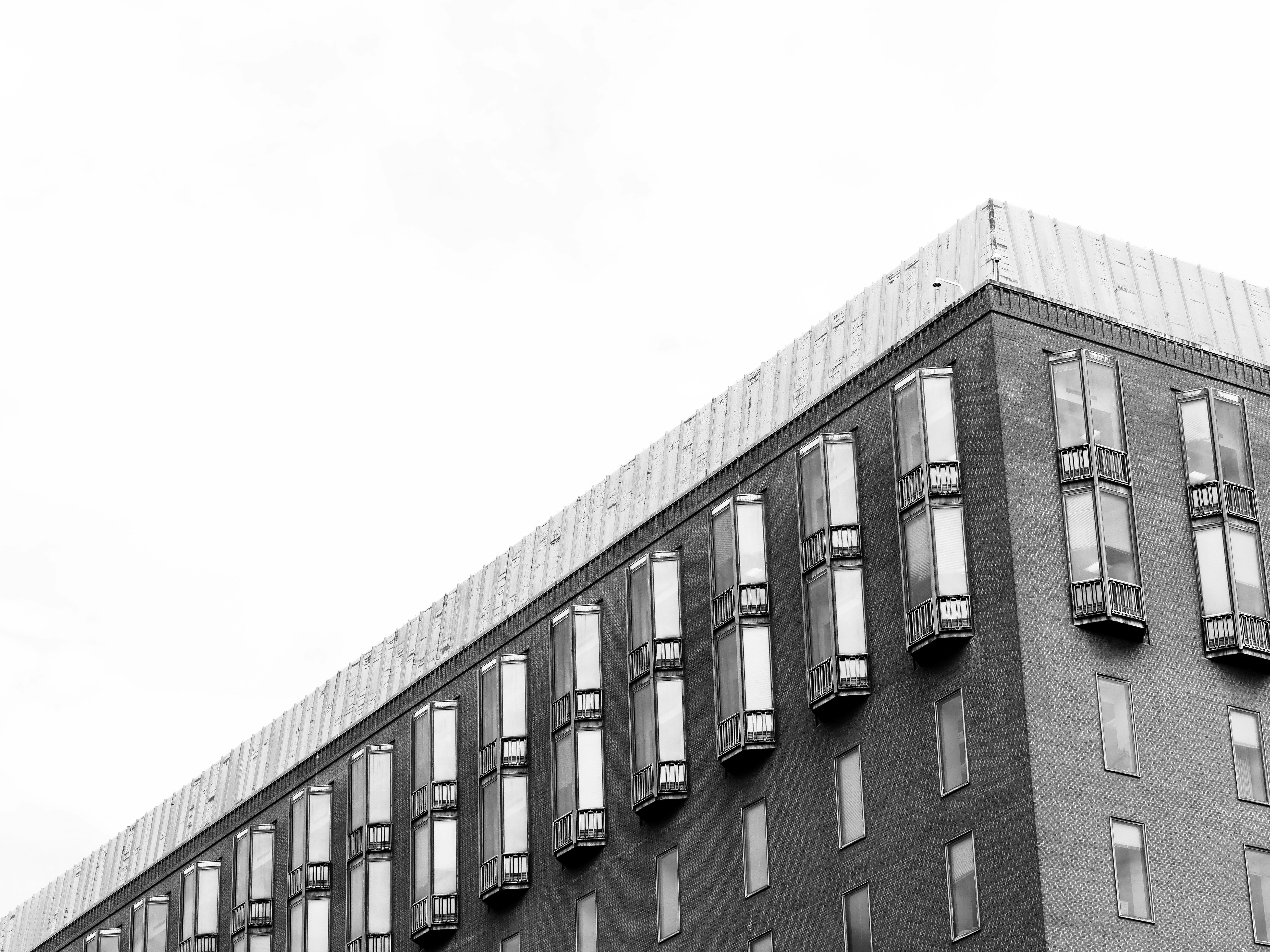 Photo by sschusterphotoart