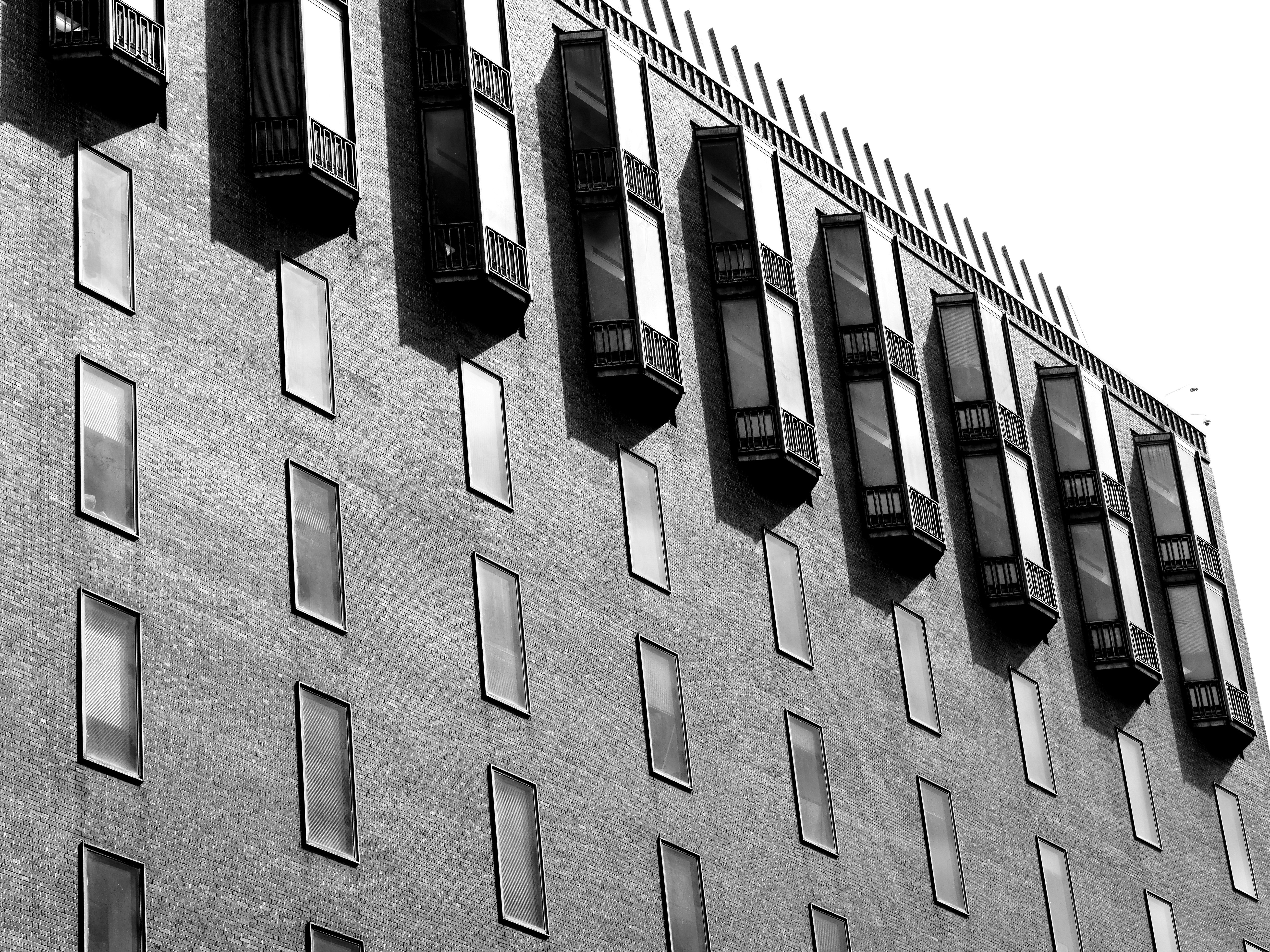 Photo by sschusterphotoart