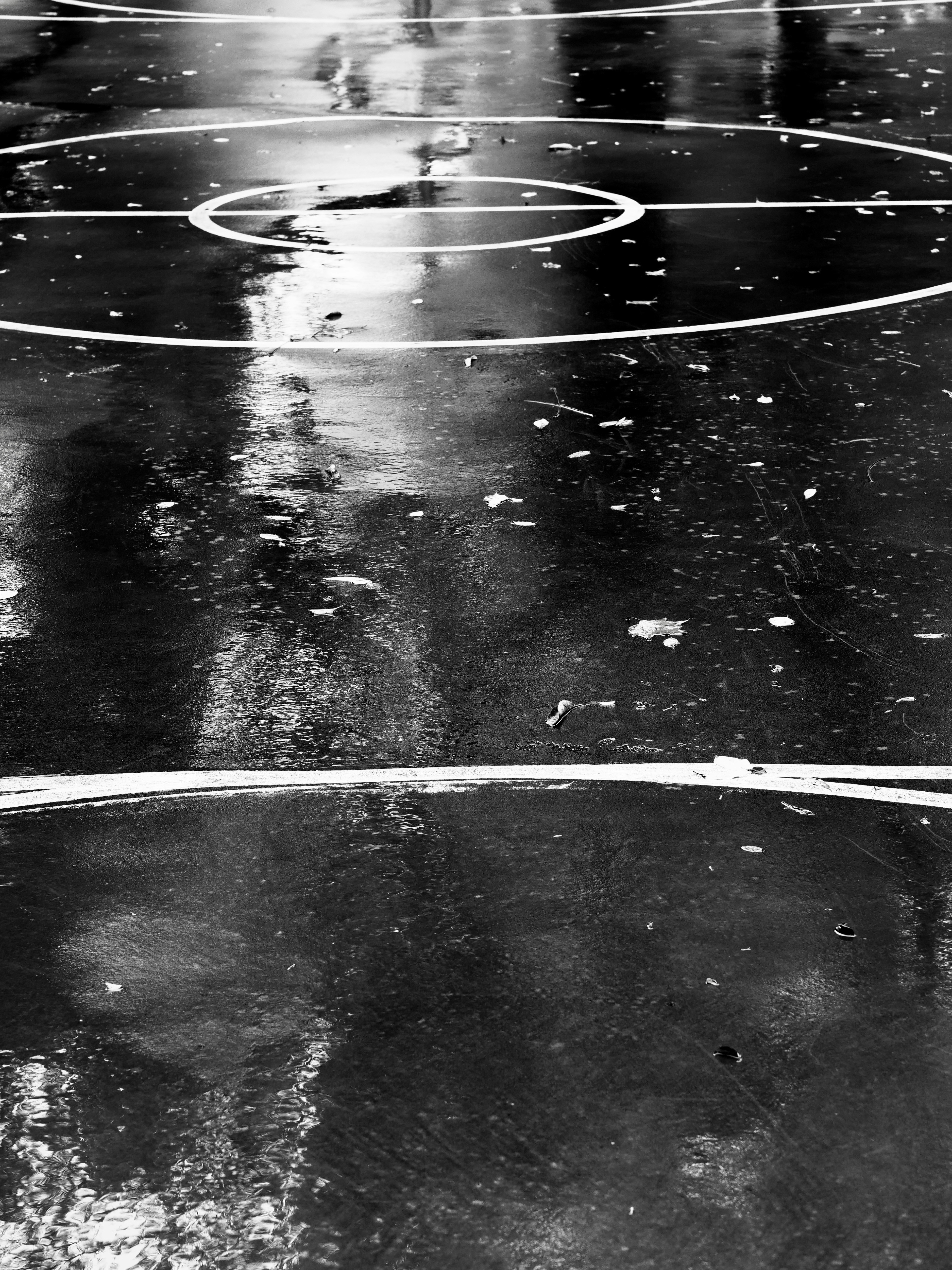 Photo by sschusterphotoart