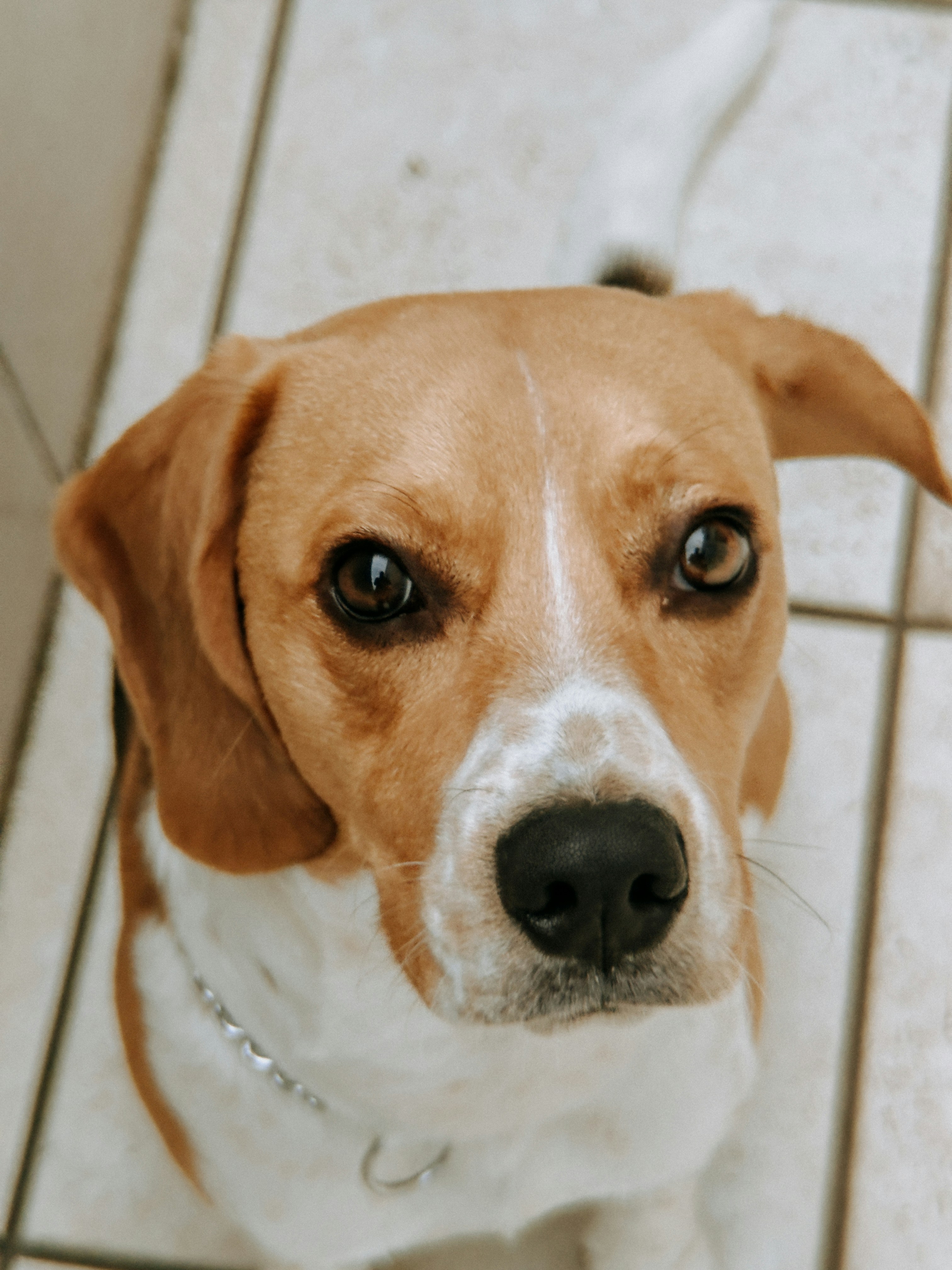 Photo by janilson_oficial