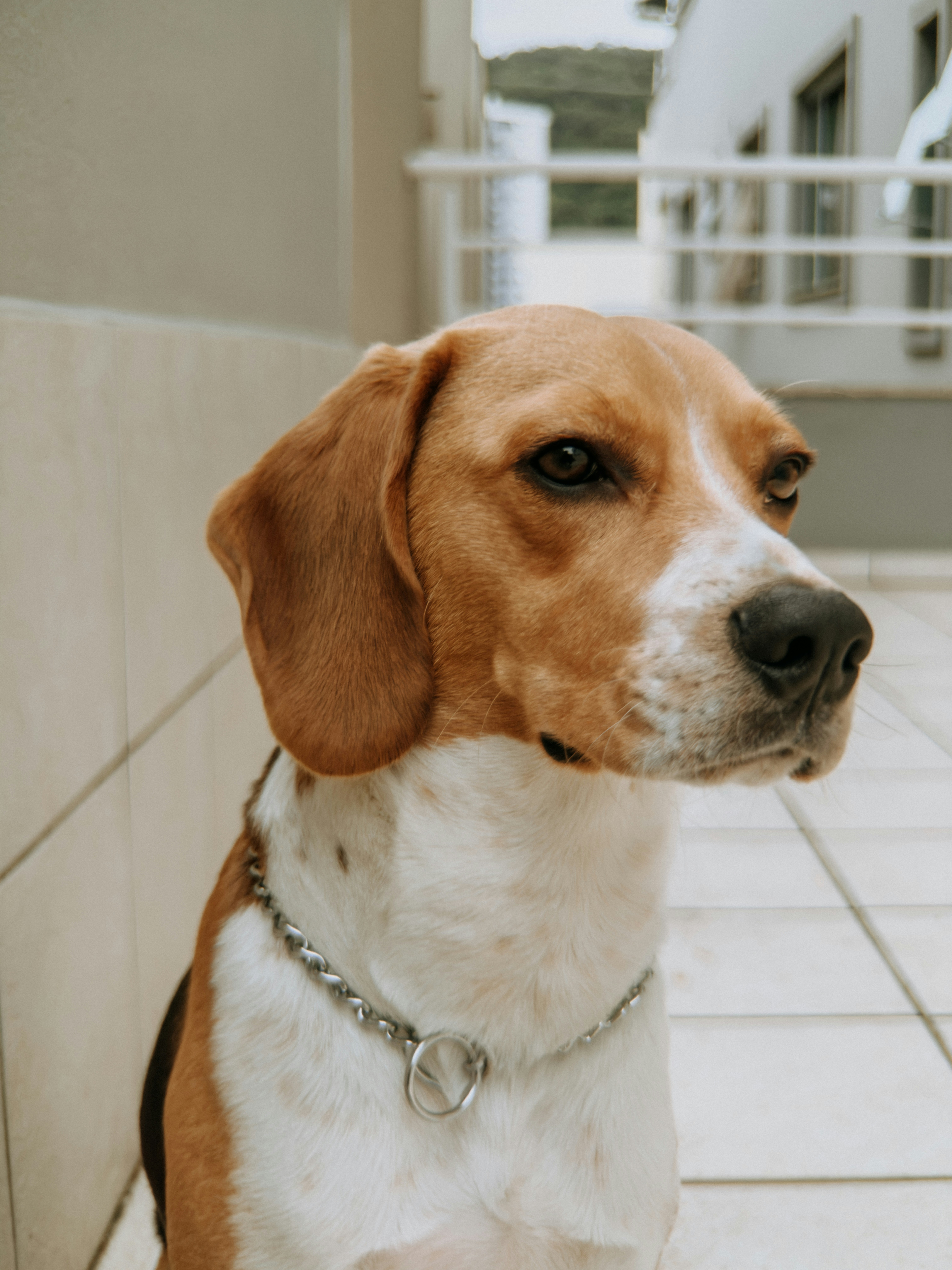 Photo by janilson_oficial