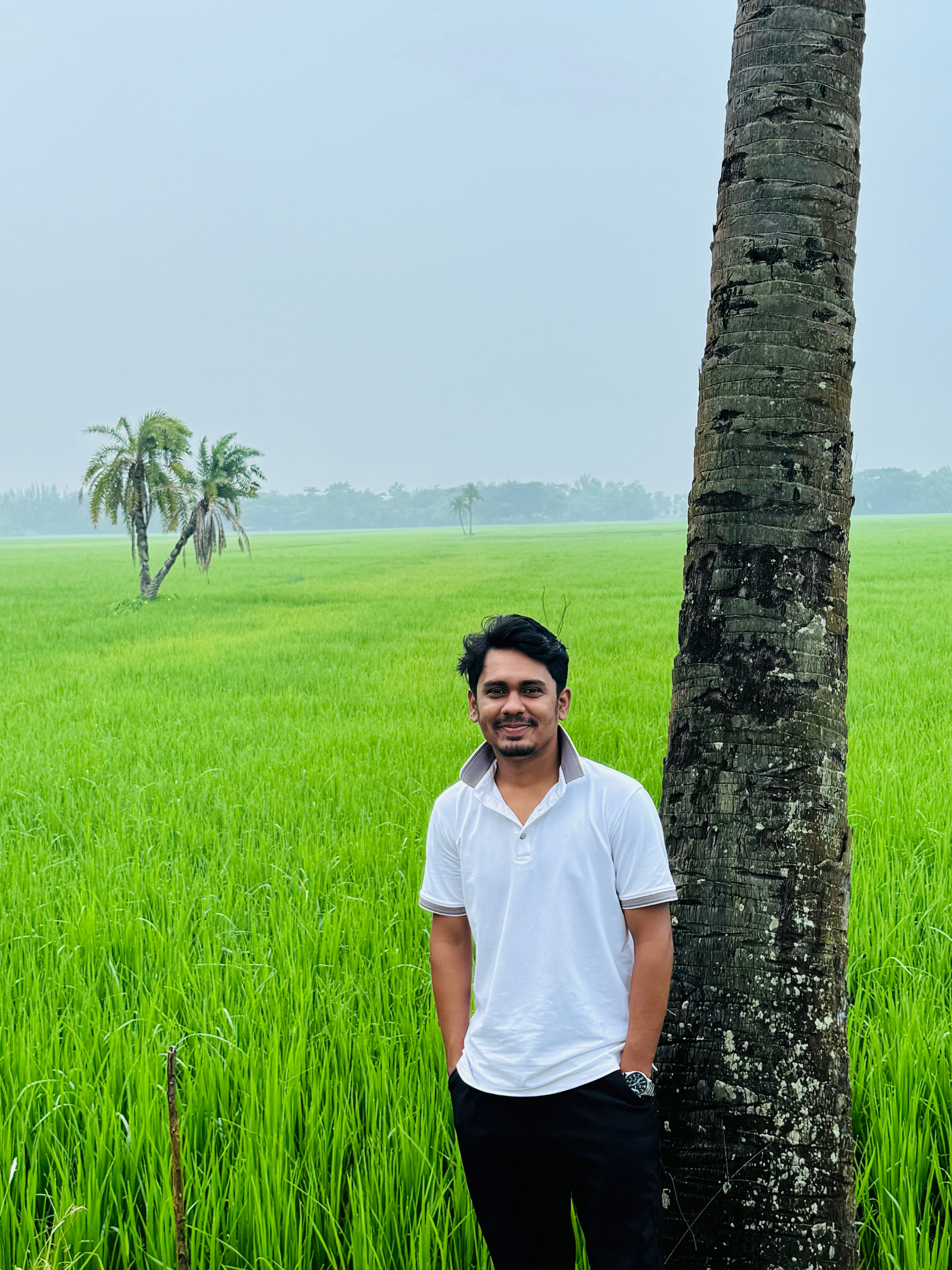 Pria berdiri di dekat pohon palem di ladang hijau.