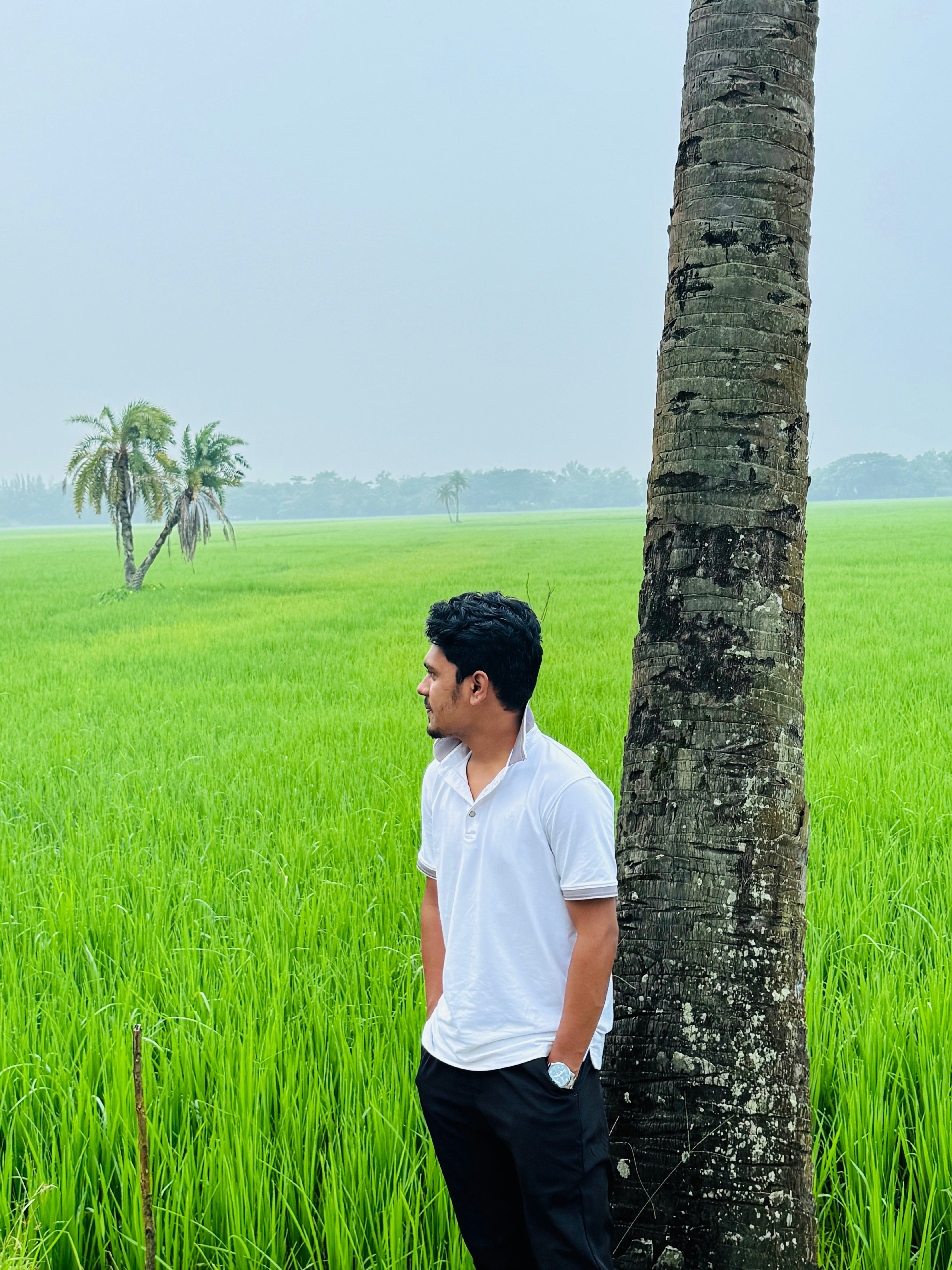 Pria berdiri di dekat pohon palem di ladang hijau.