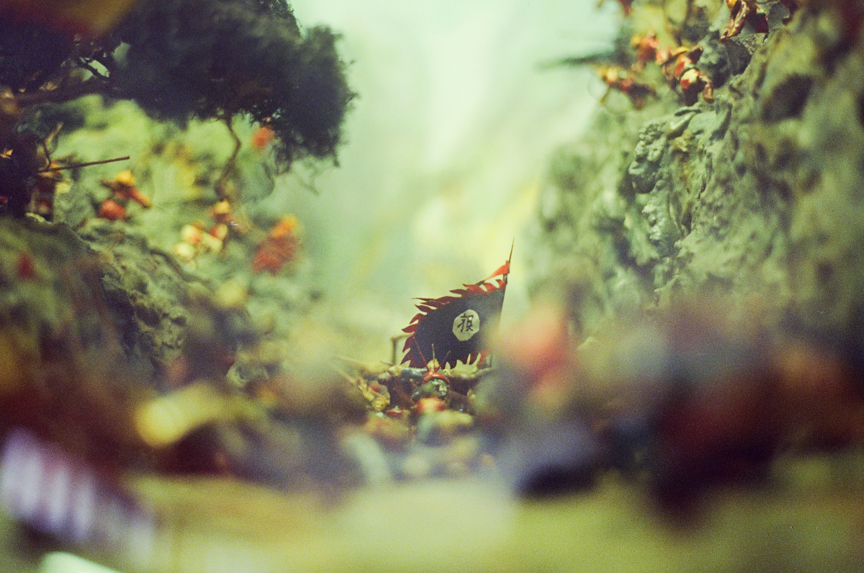 Un primo piano di una piccola creatura che fa capolino da dietro le rocce.