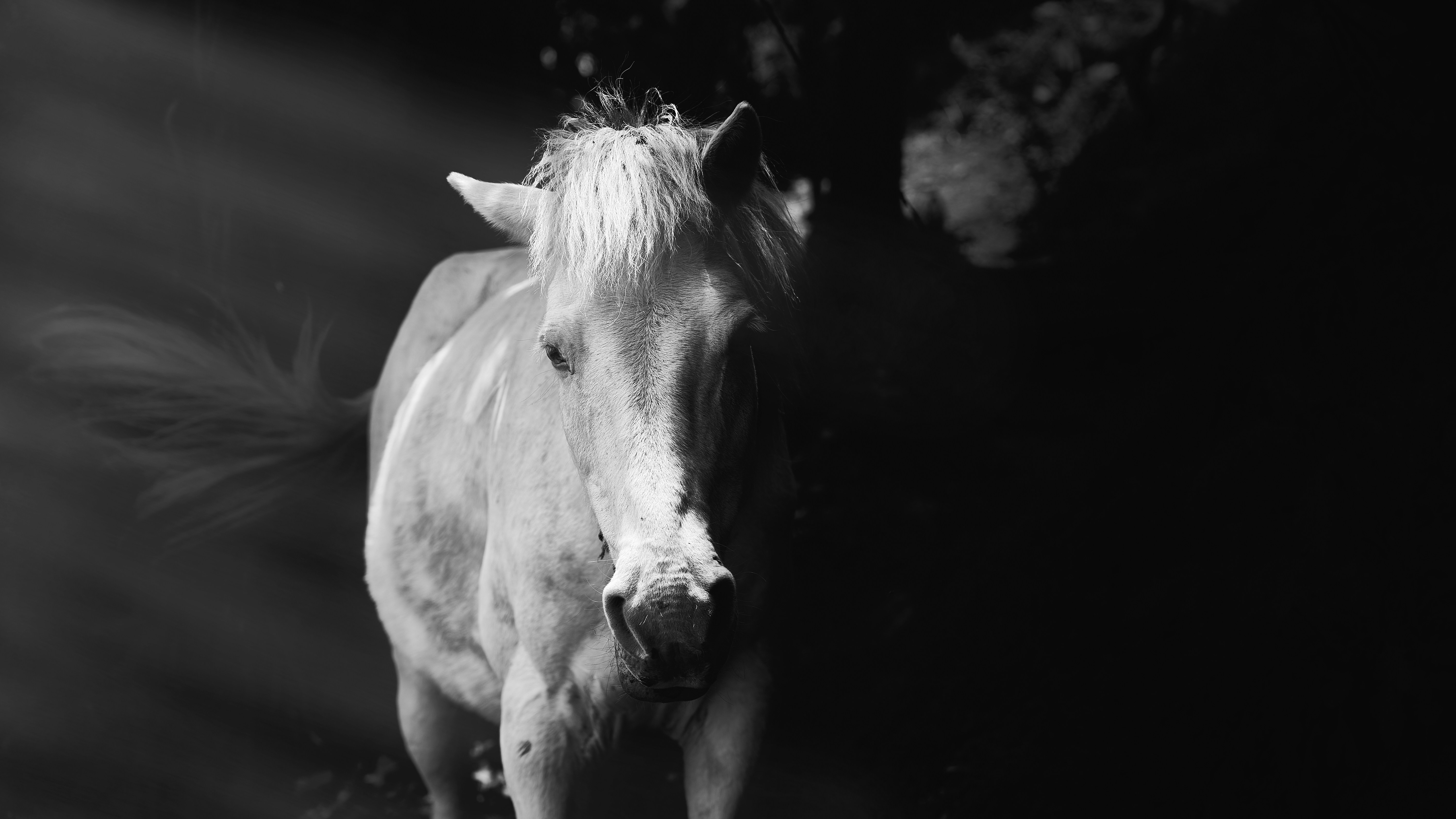 Photo by unfamiliarbutfamiliar