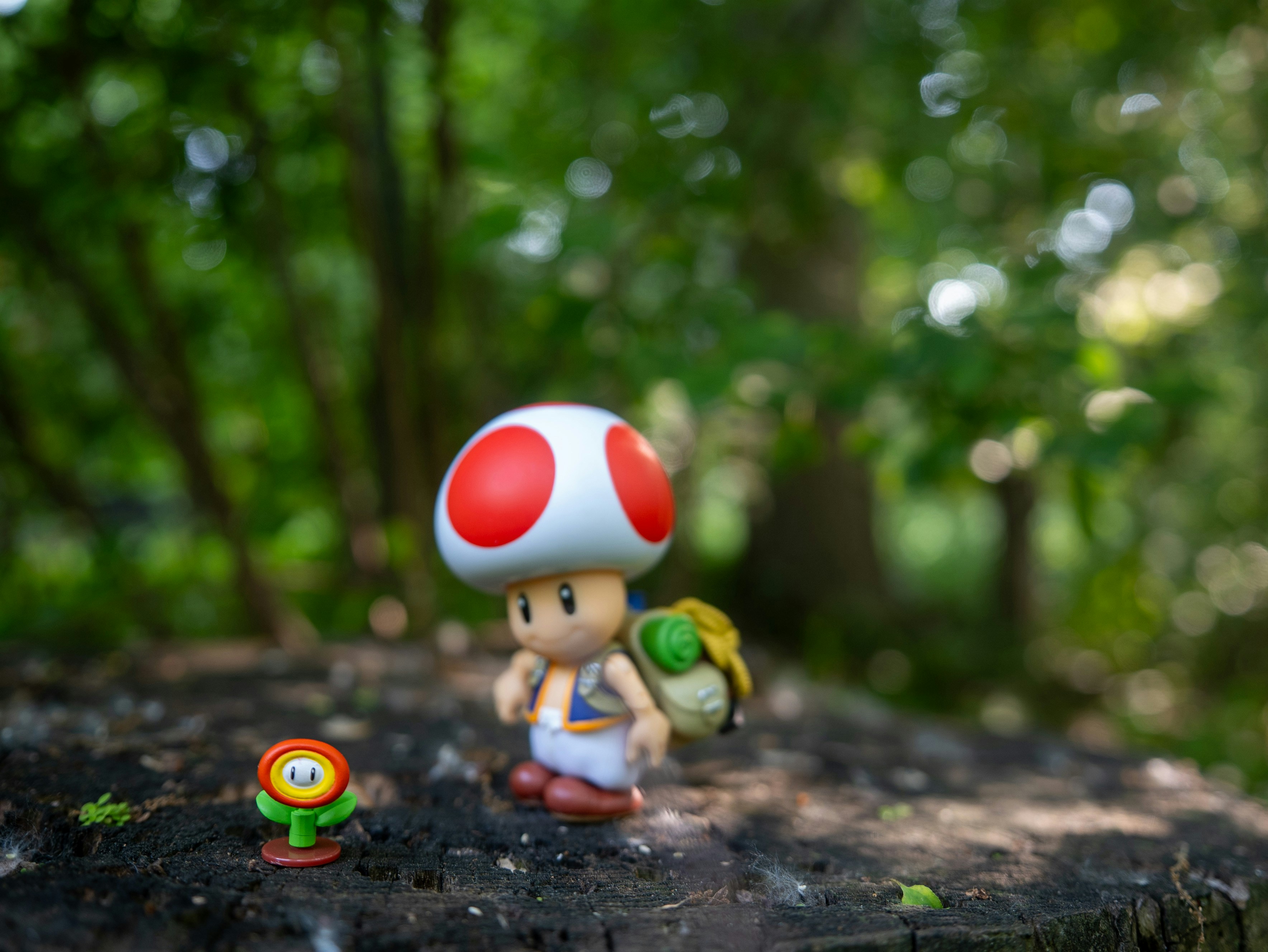 Toad and a fire flower toy in forest