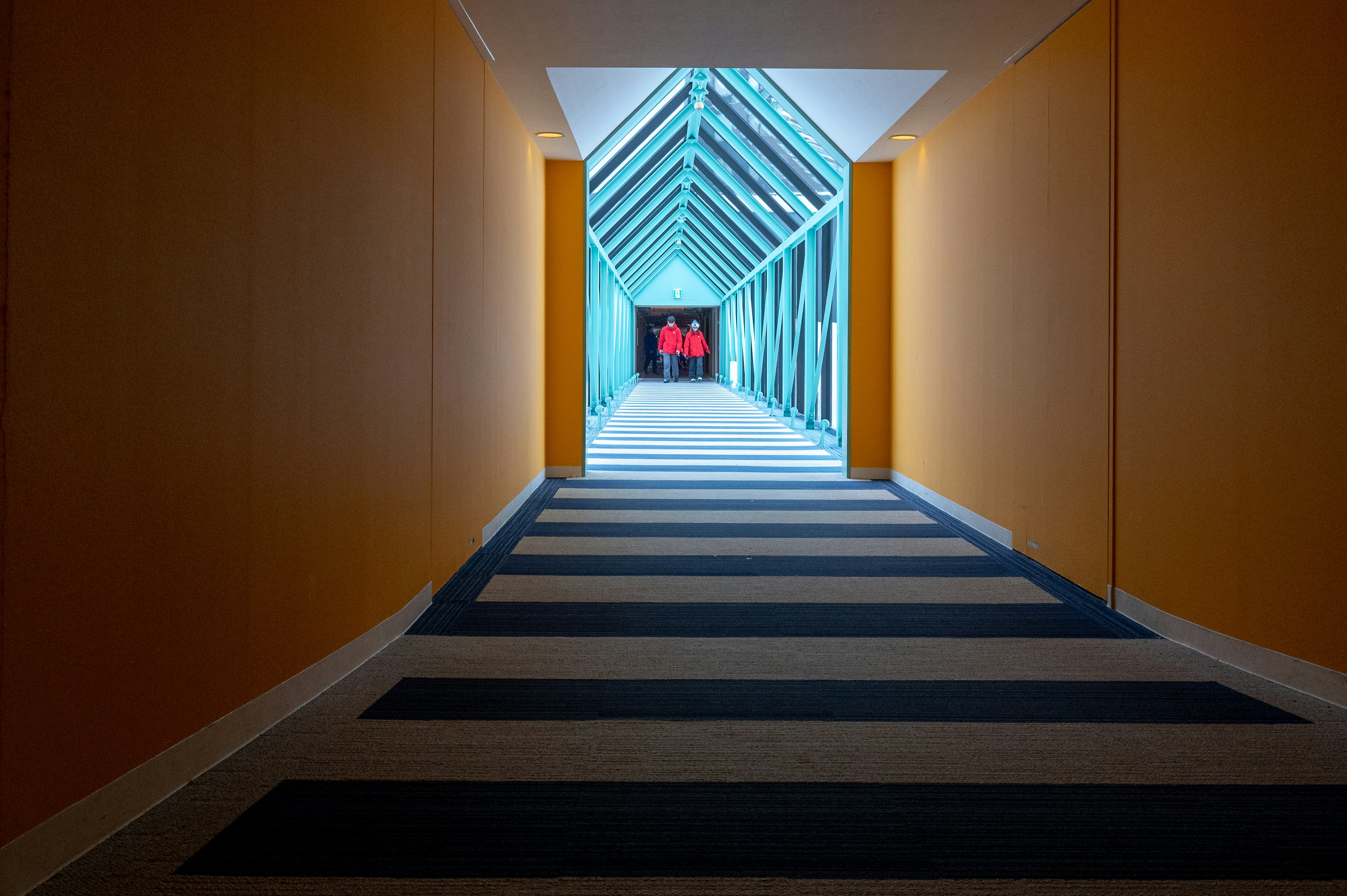 Photo by turquocabbit