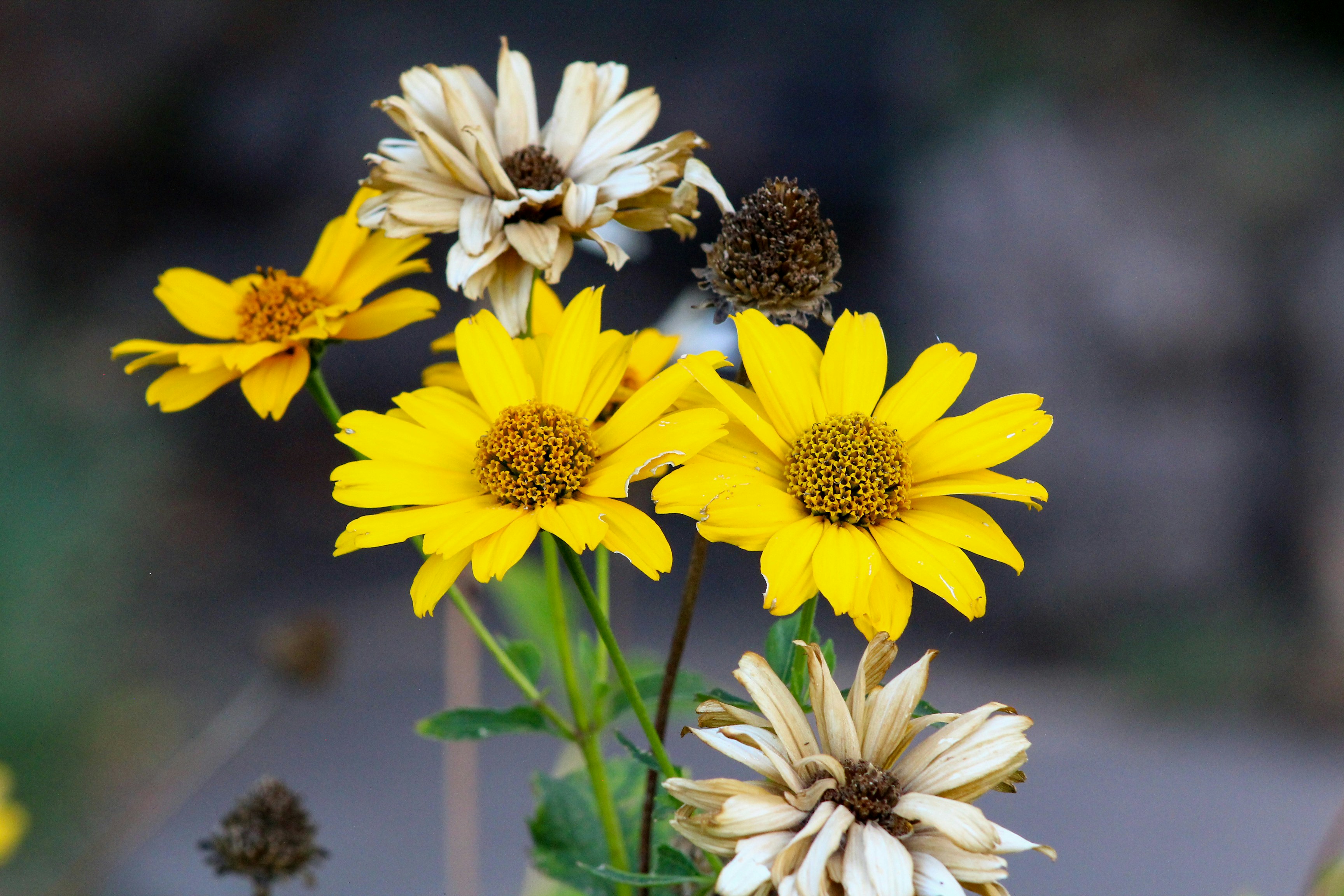 Photo by nwilloughby