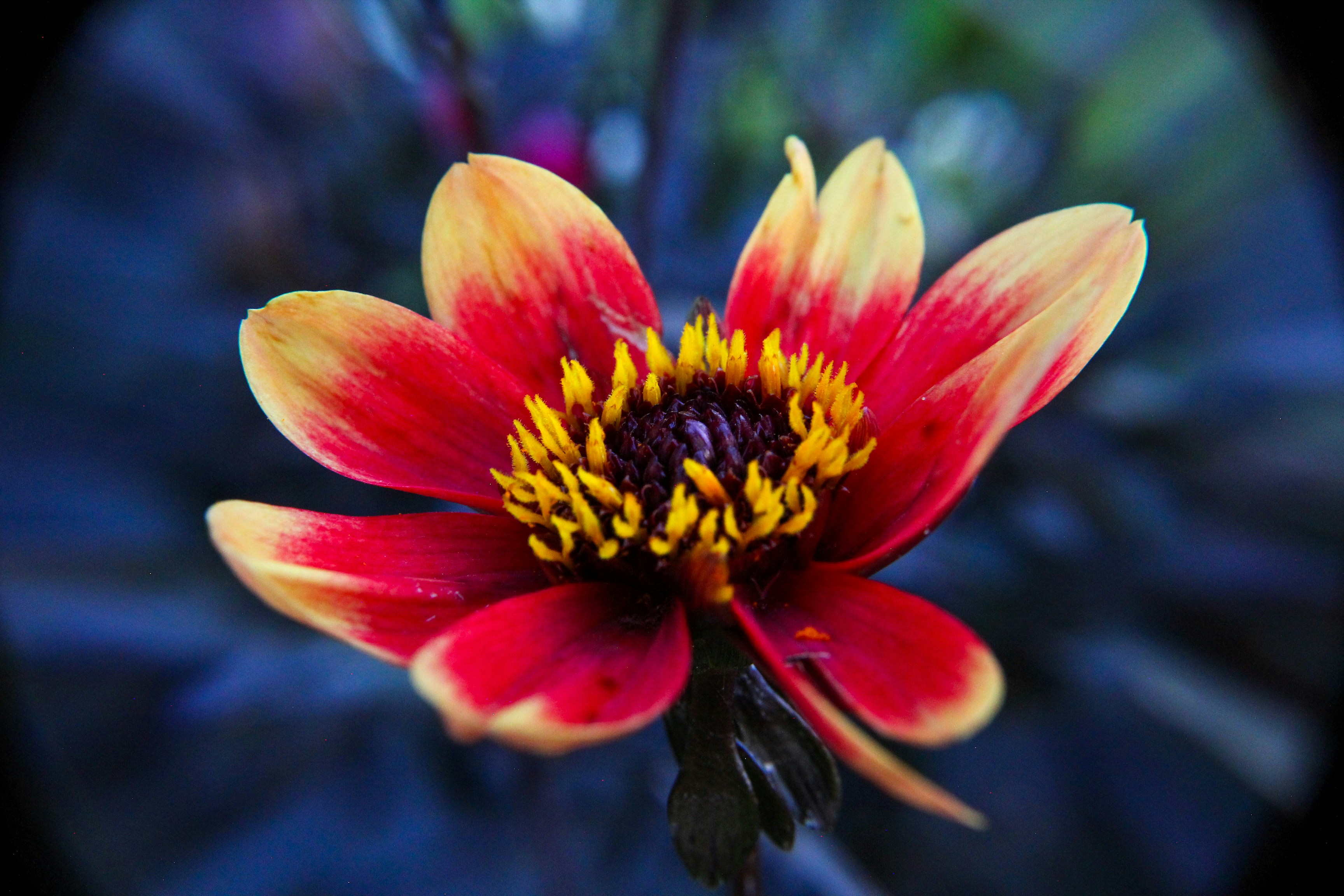 Photo by nwilloughby