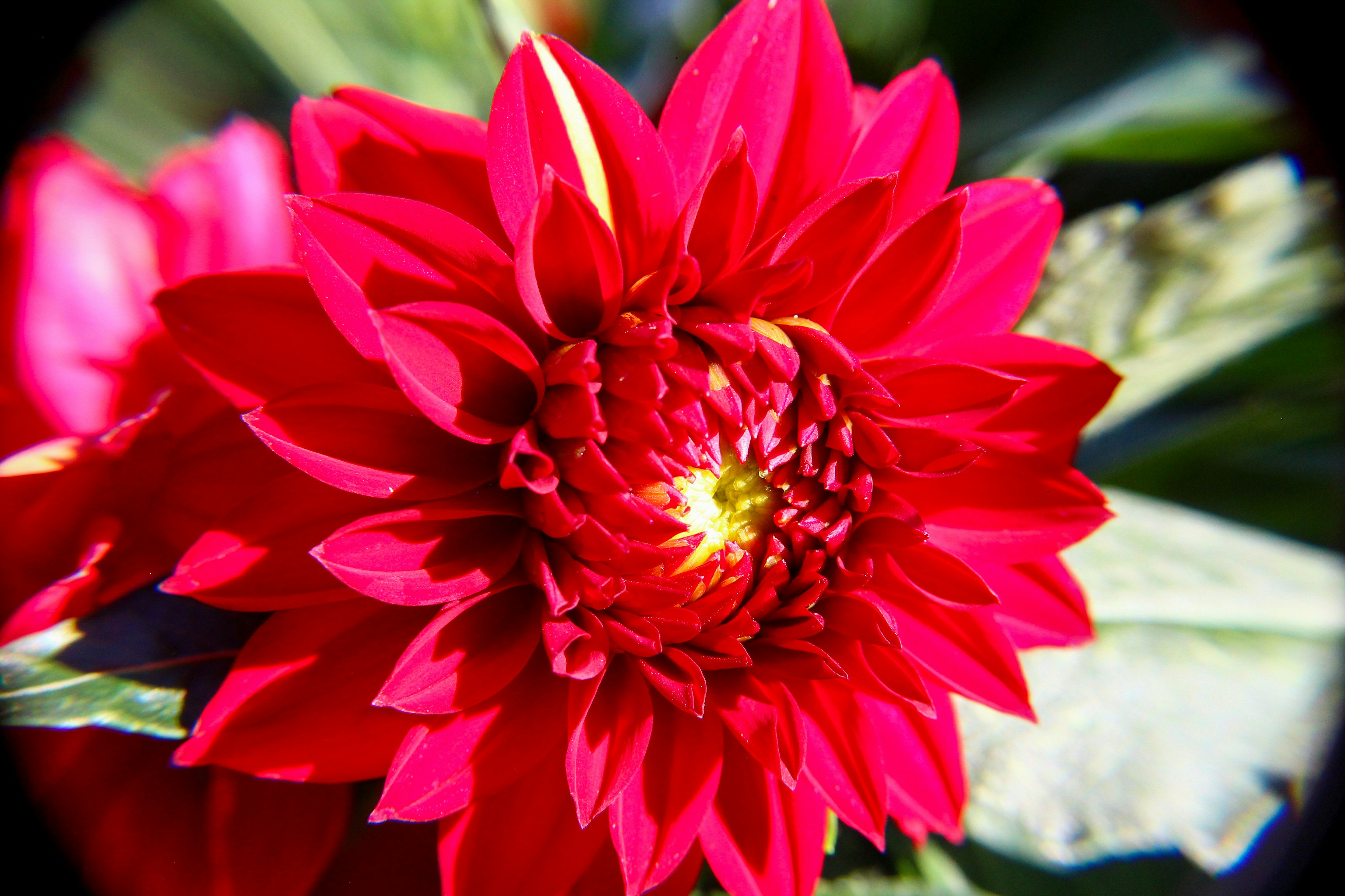 Photo by nwilloughby