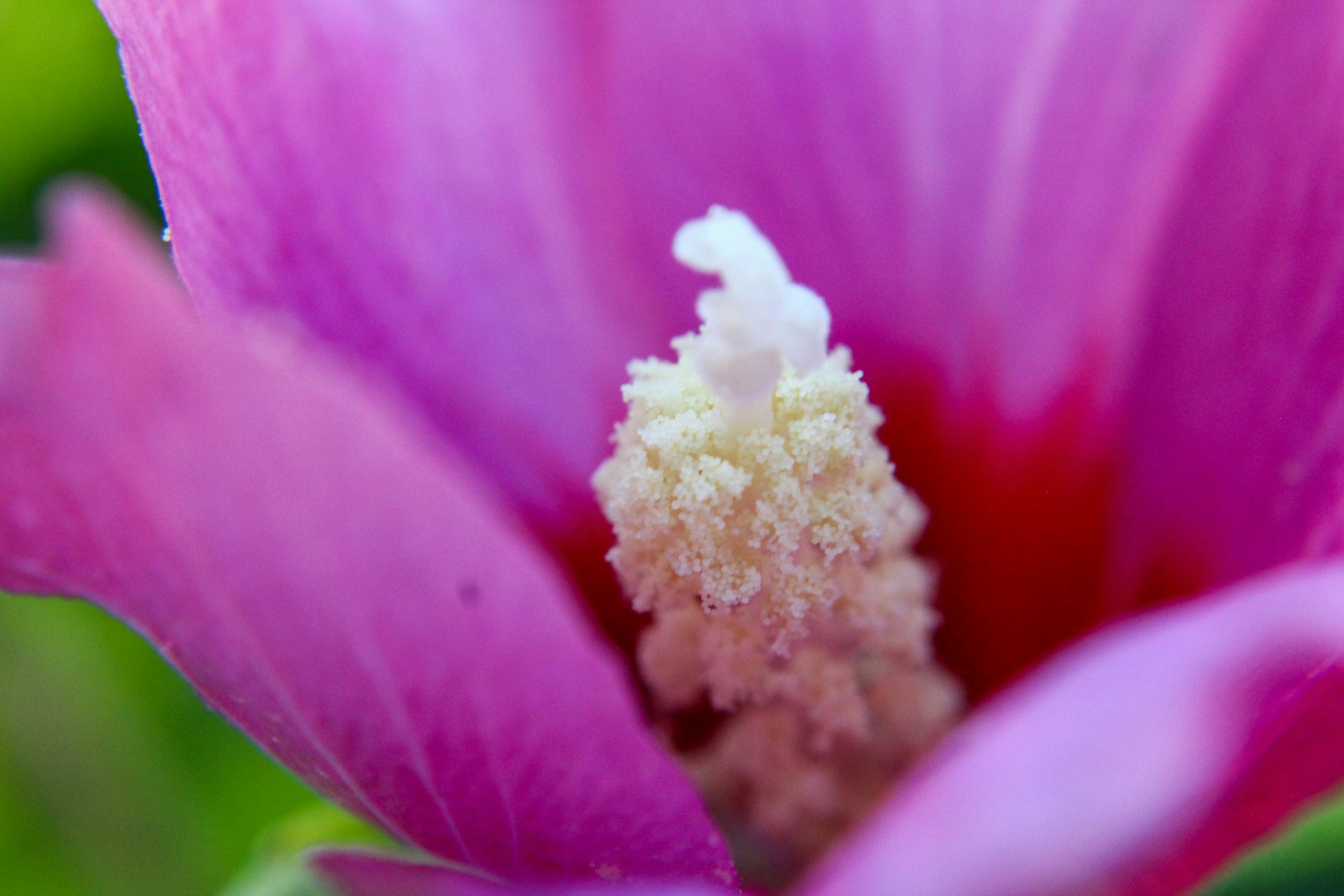 Photo by nwilloughby