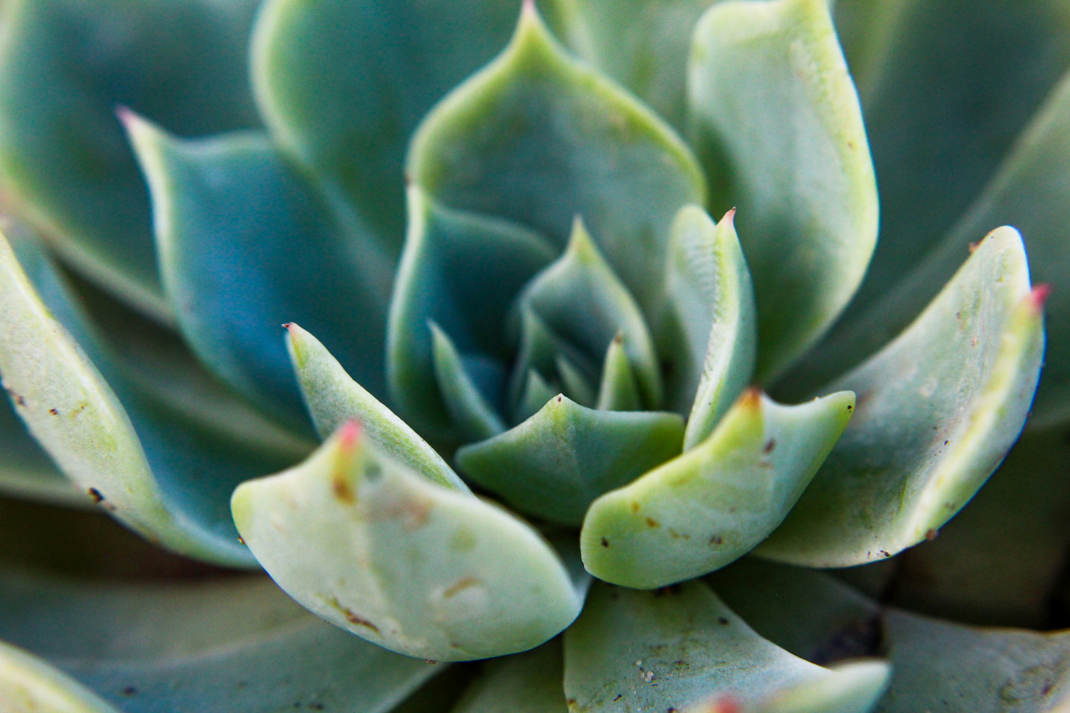 Photo by nwilloughby