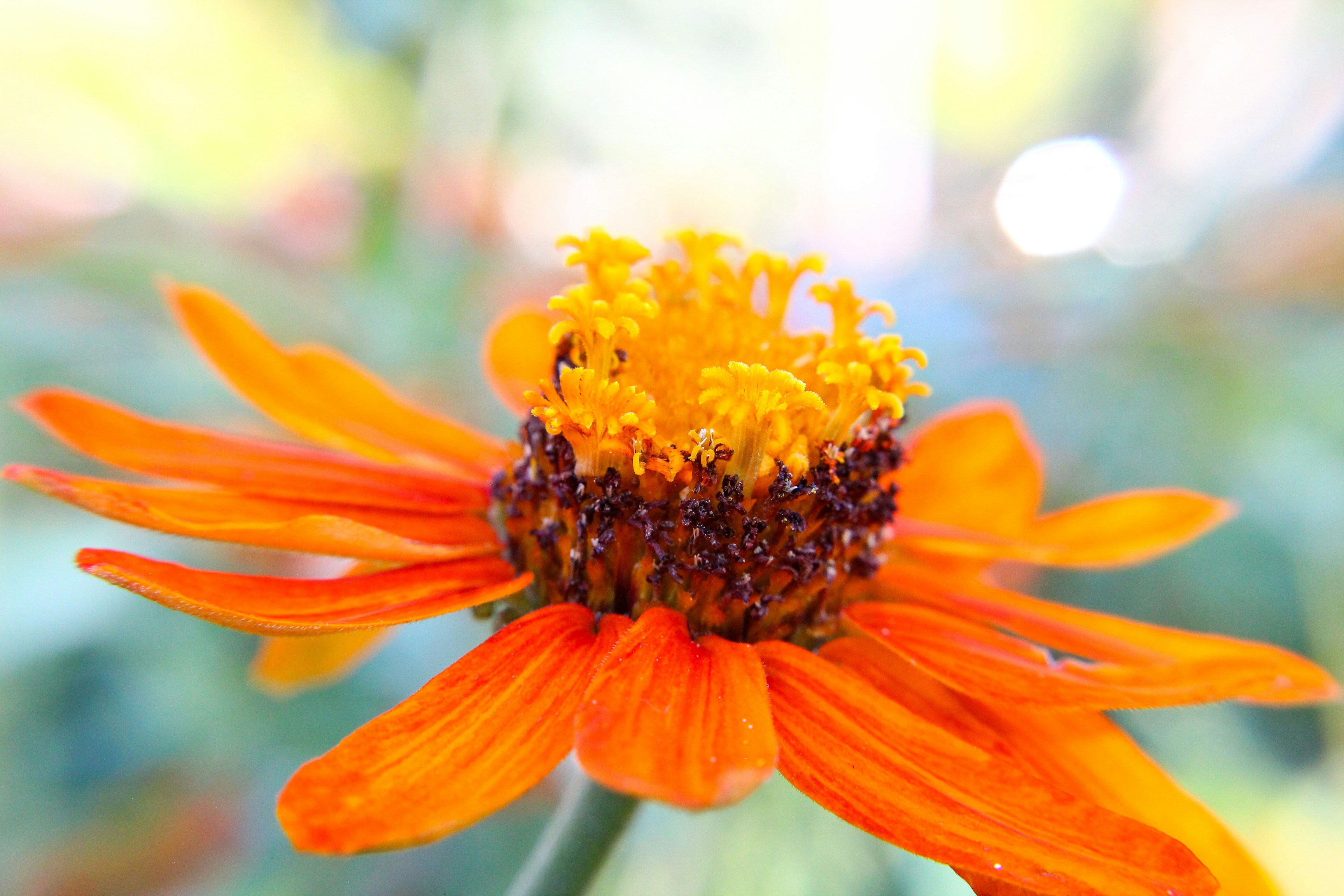 Photo by nwilloughby