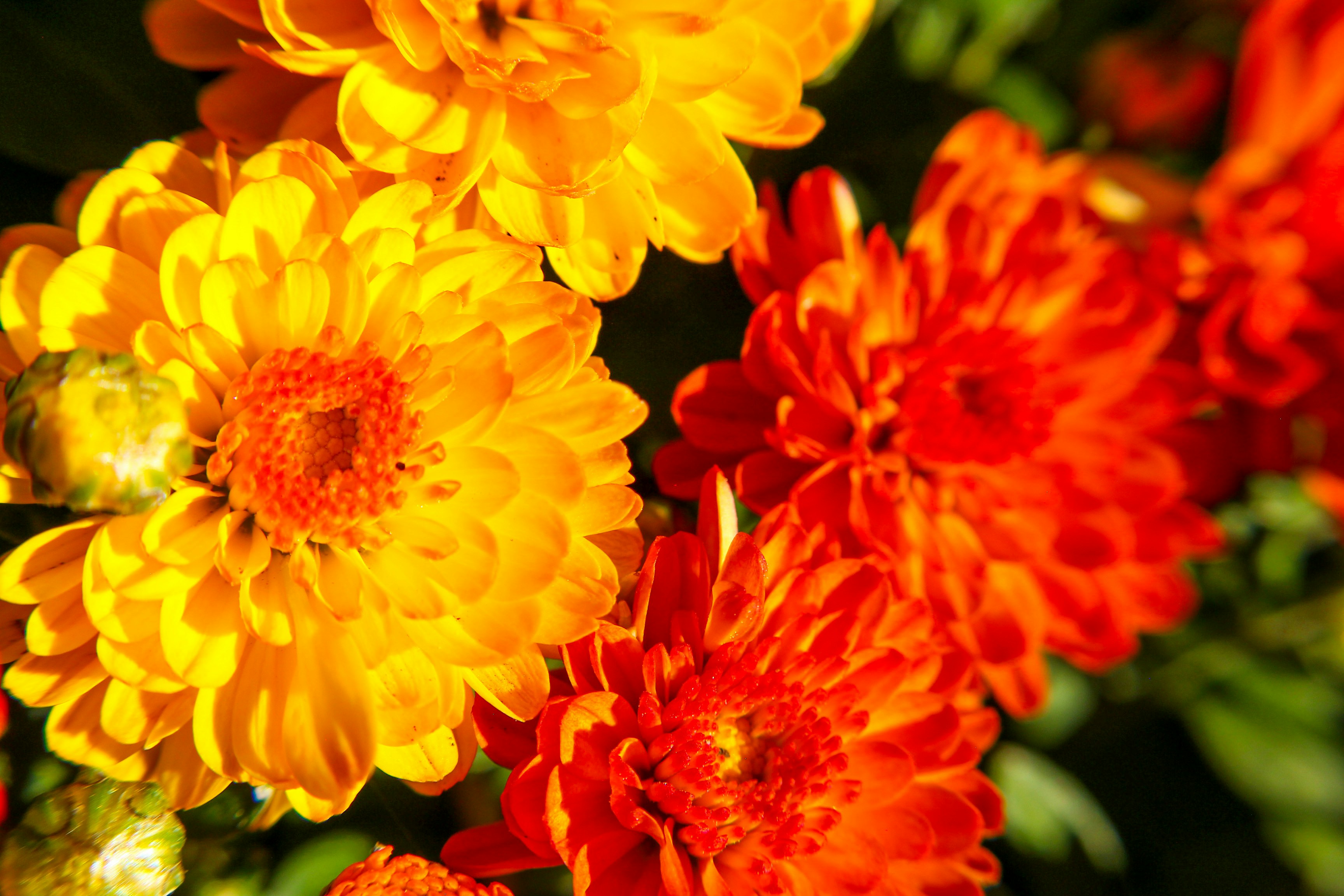 Photo by nwilloughby