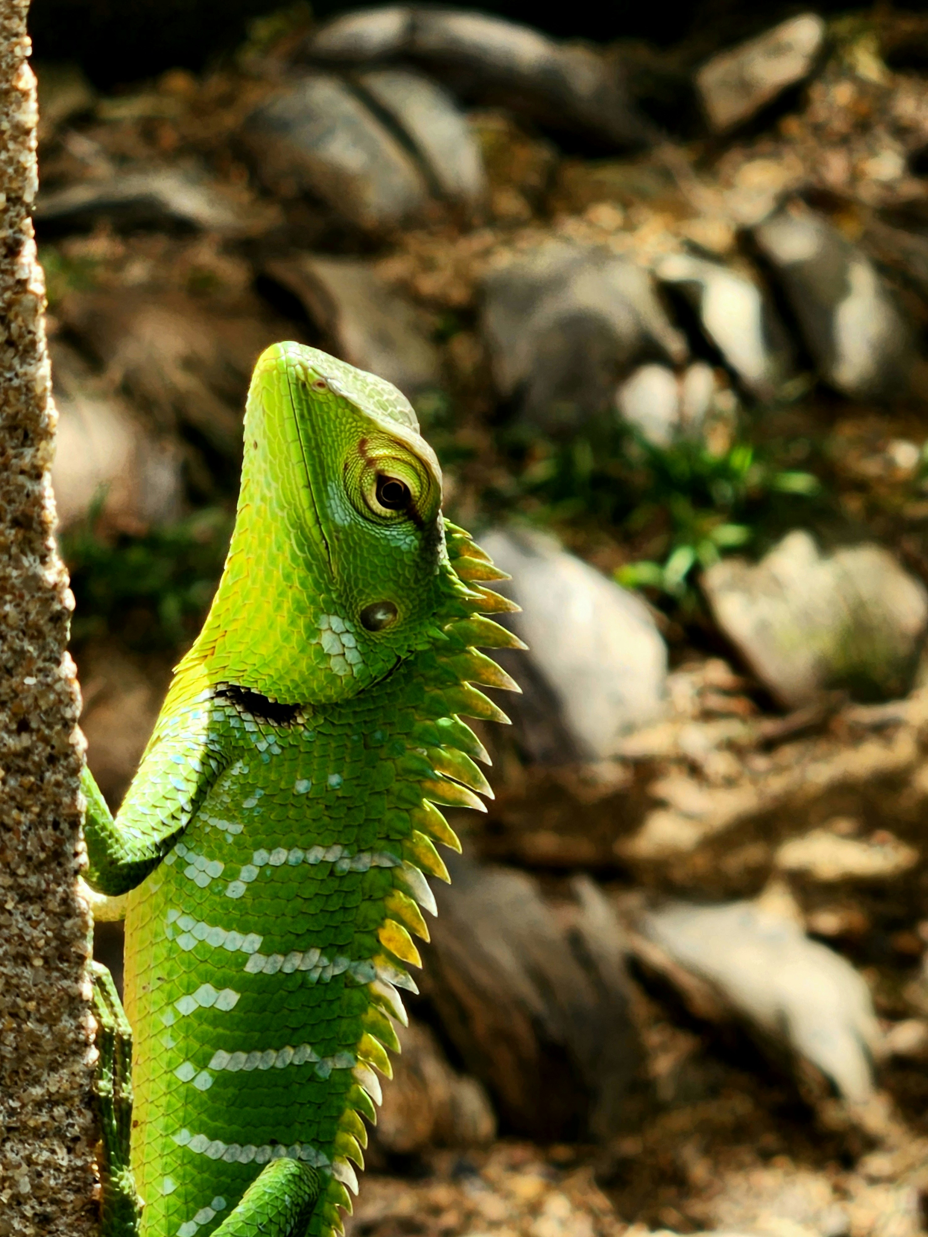 Photo by jgksanjaya