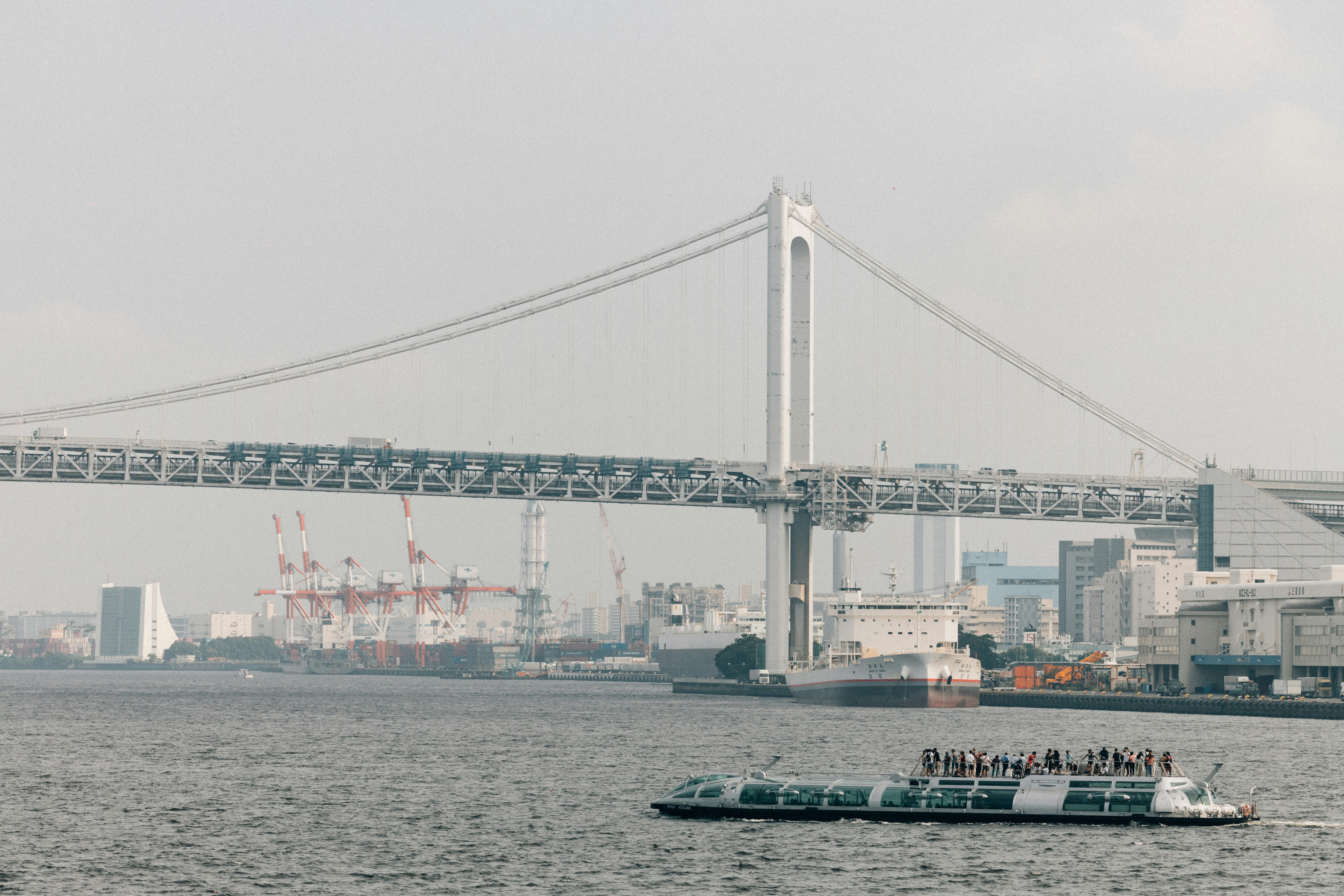 Photo by tsuyoshikozu