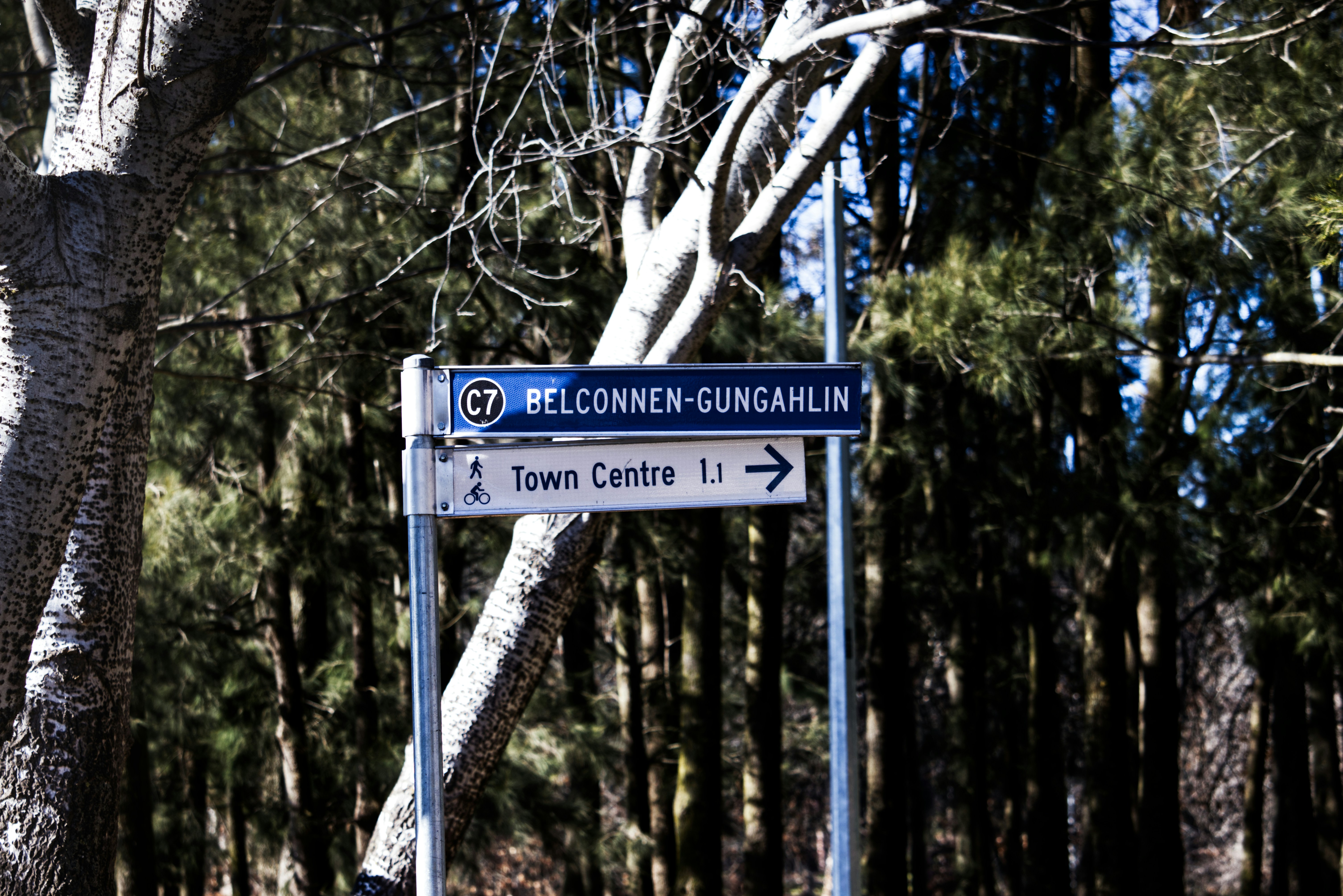 Phillips Southern Heights Park