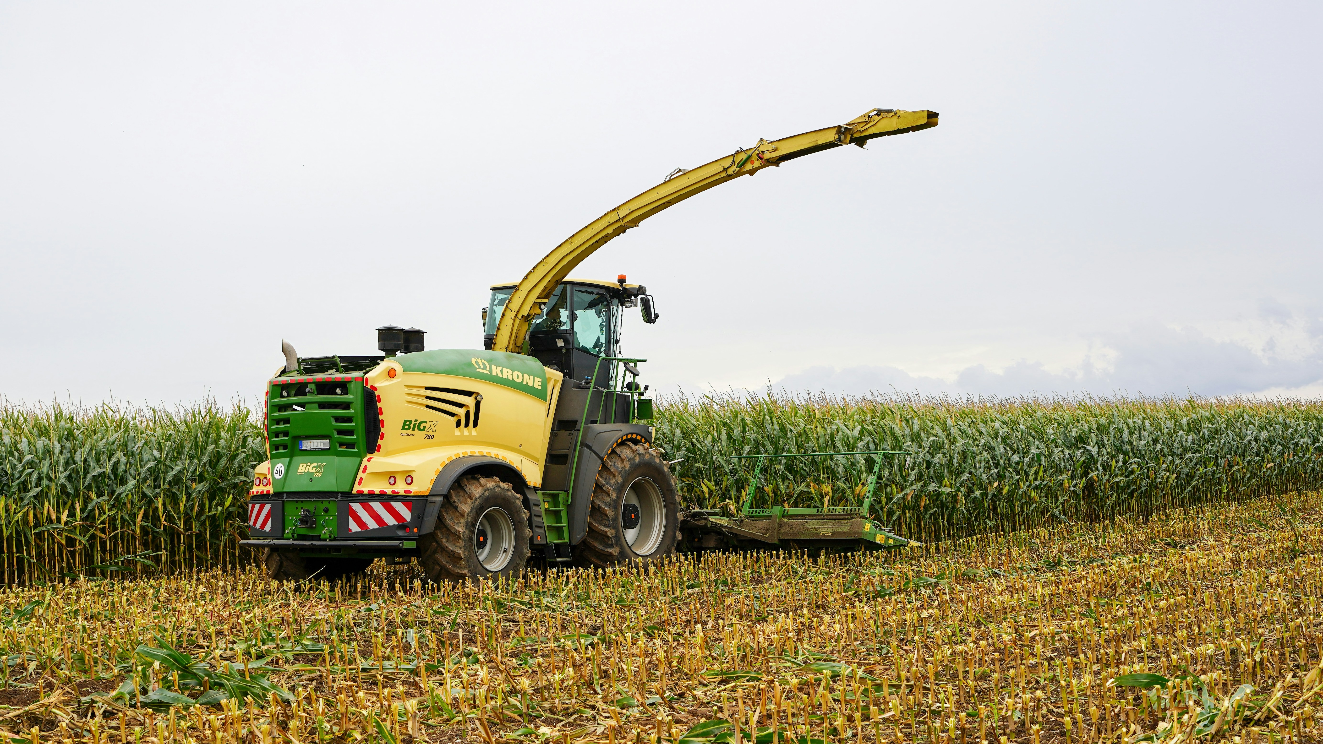 Photo by hamburgmeinefreundin