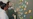 Two colleagues discuss sticky notes on a wall.