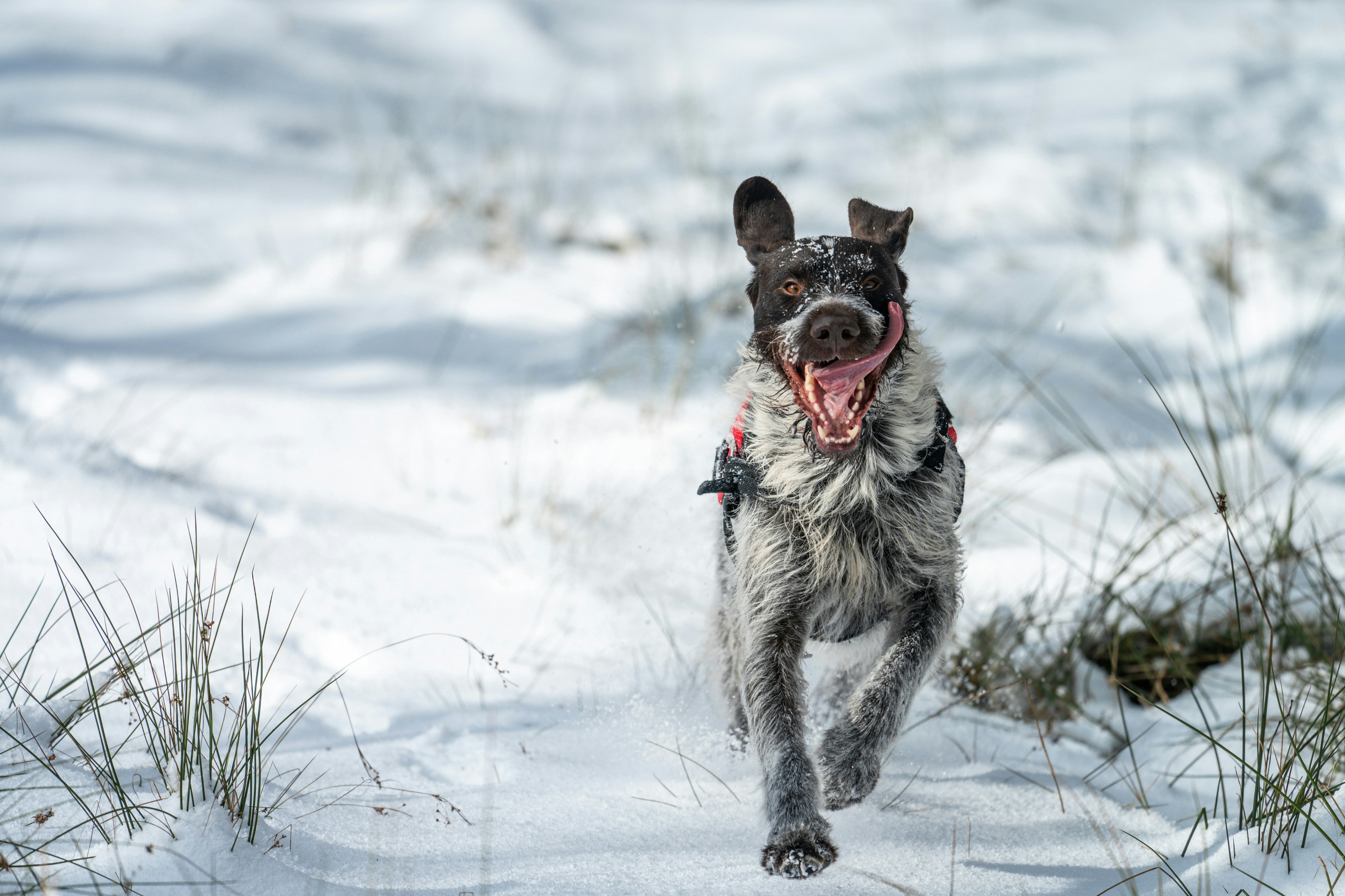 Physical Activity and Overall Wellness