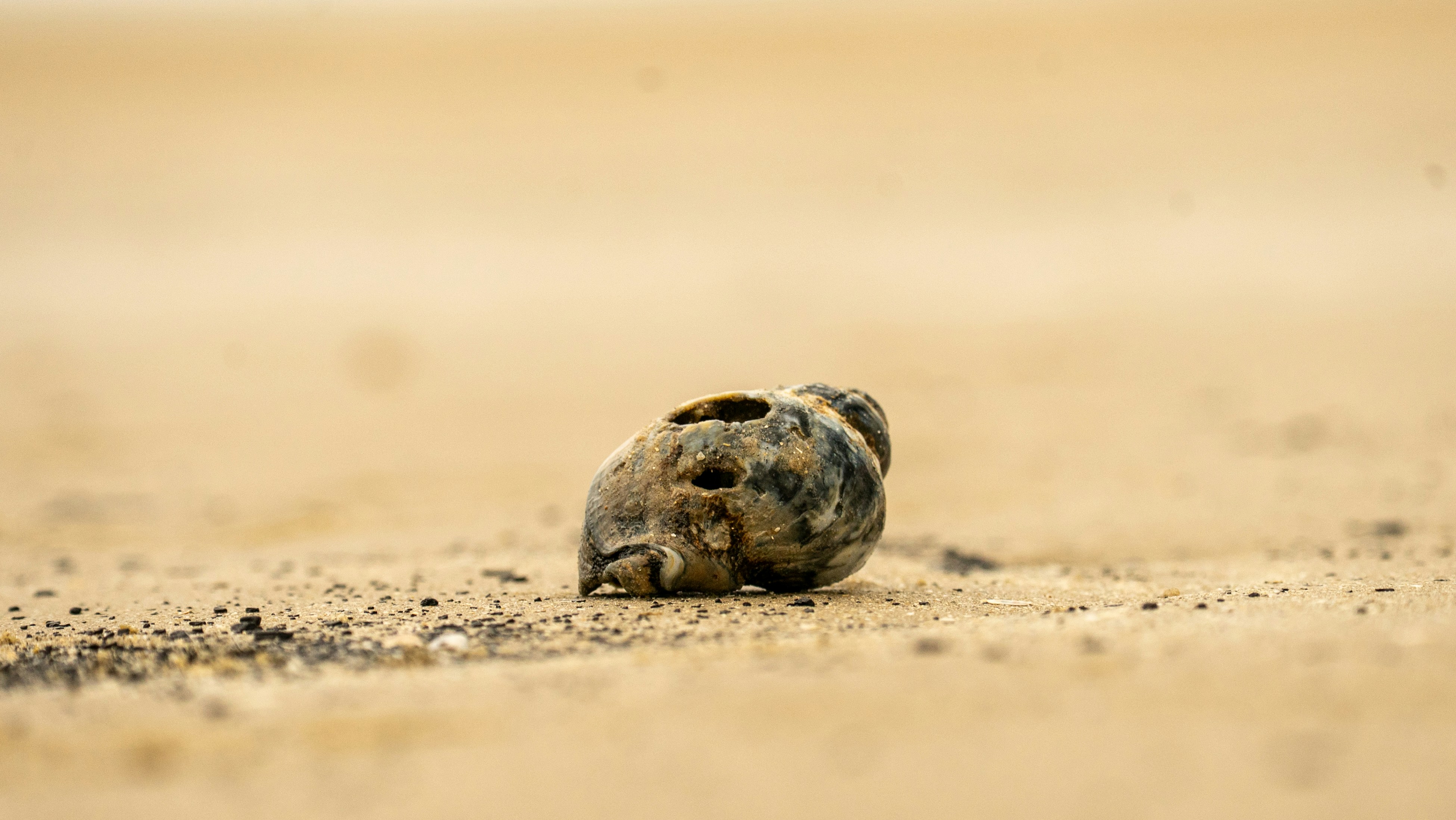 Photo by danielsphotograpic